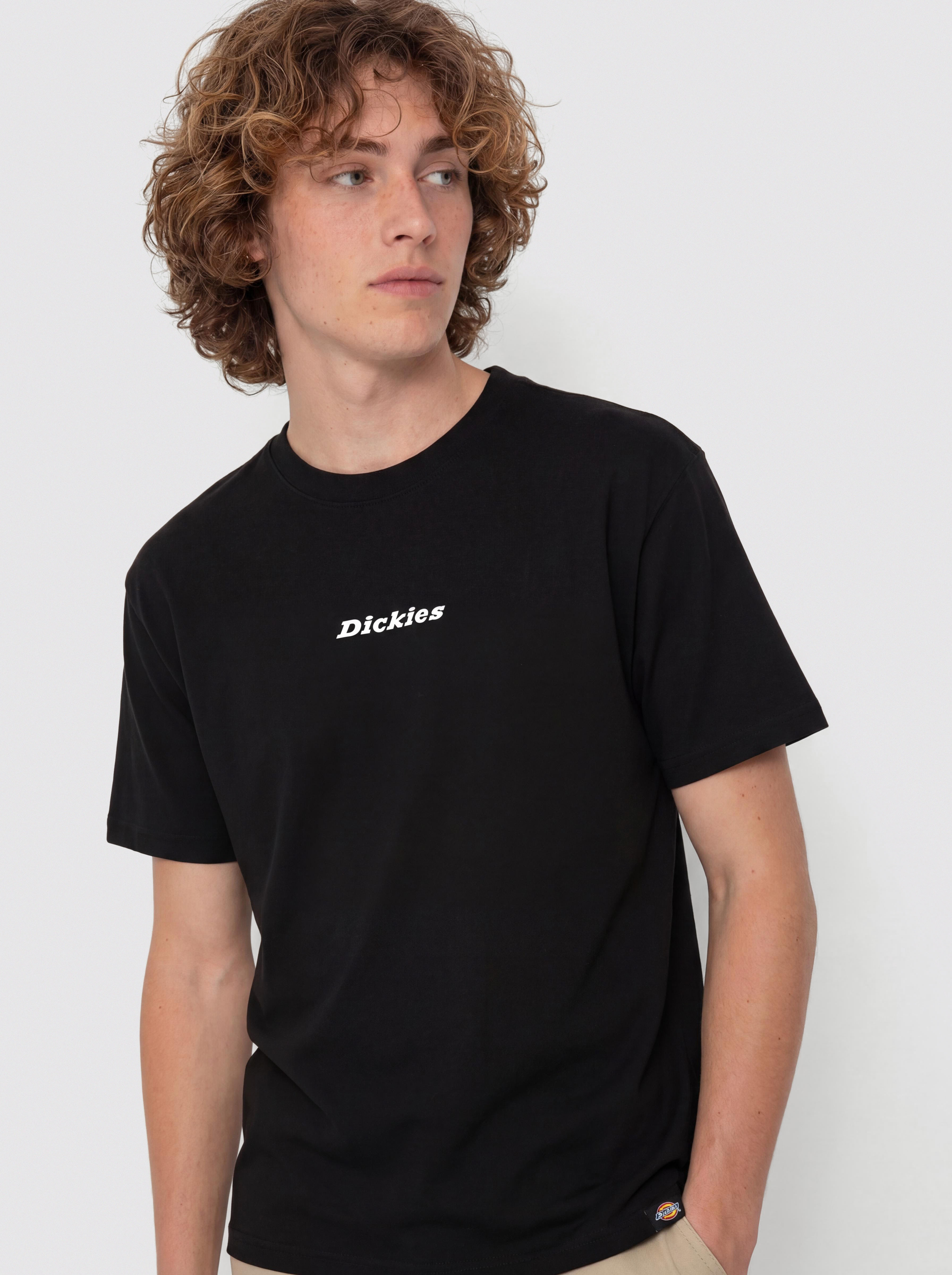 Tricou Dickies Enterprise (black)