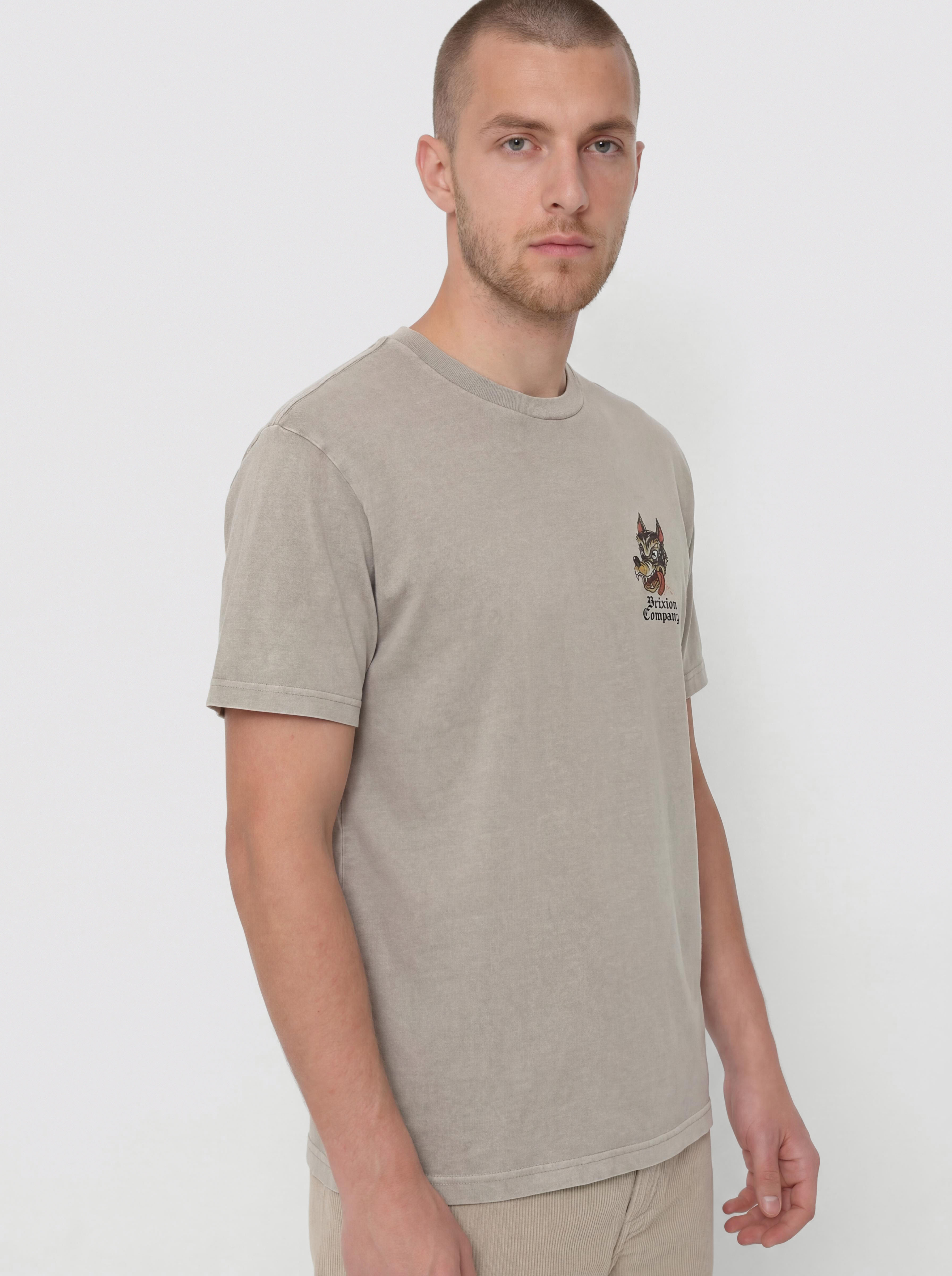 Tricou Brixton Dawg Stt (pebble stone worn wash)