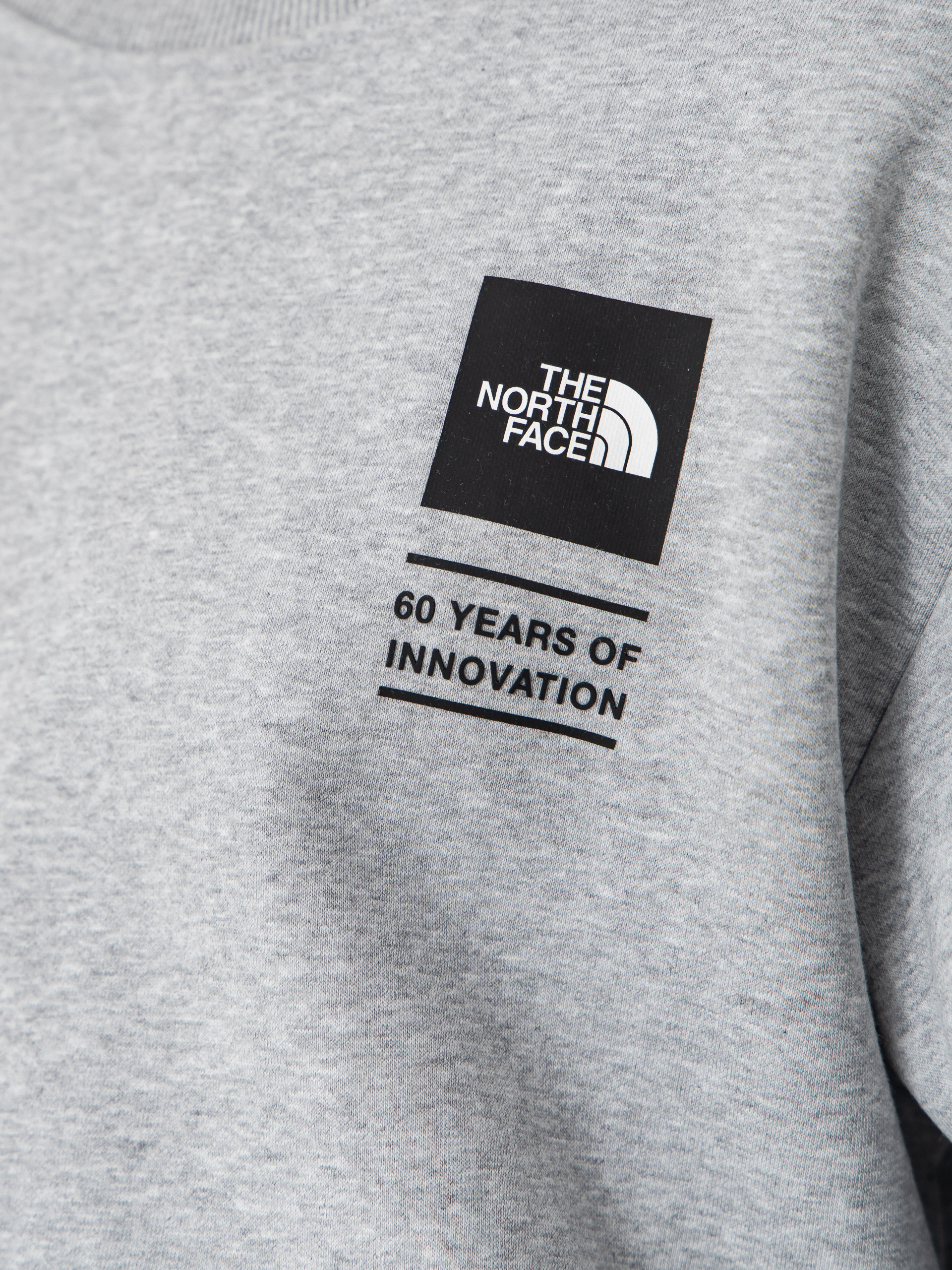 Hanorac The North Face Tnf Celebration Relaxed Crew (tnflightgreyhtr)