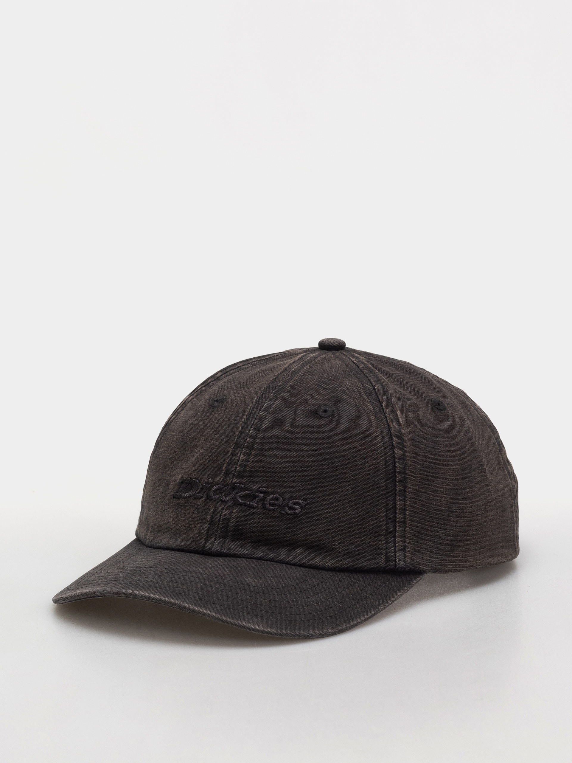 u0218apcu0103 Dickies Middlefield (black)