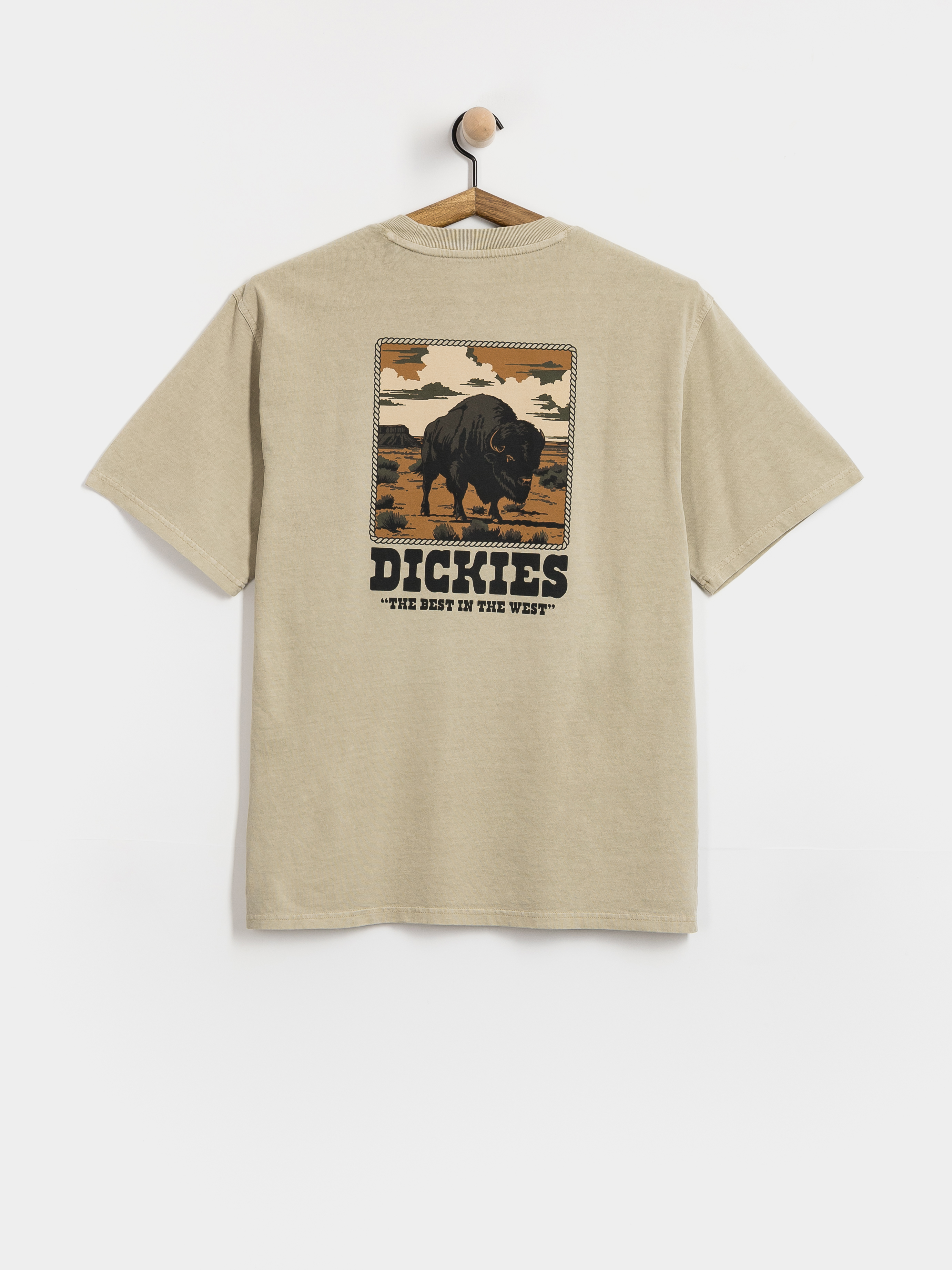 Tricou Dickies Darrtown