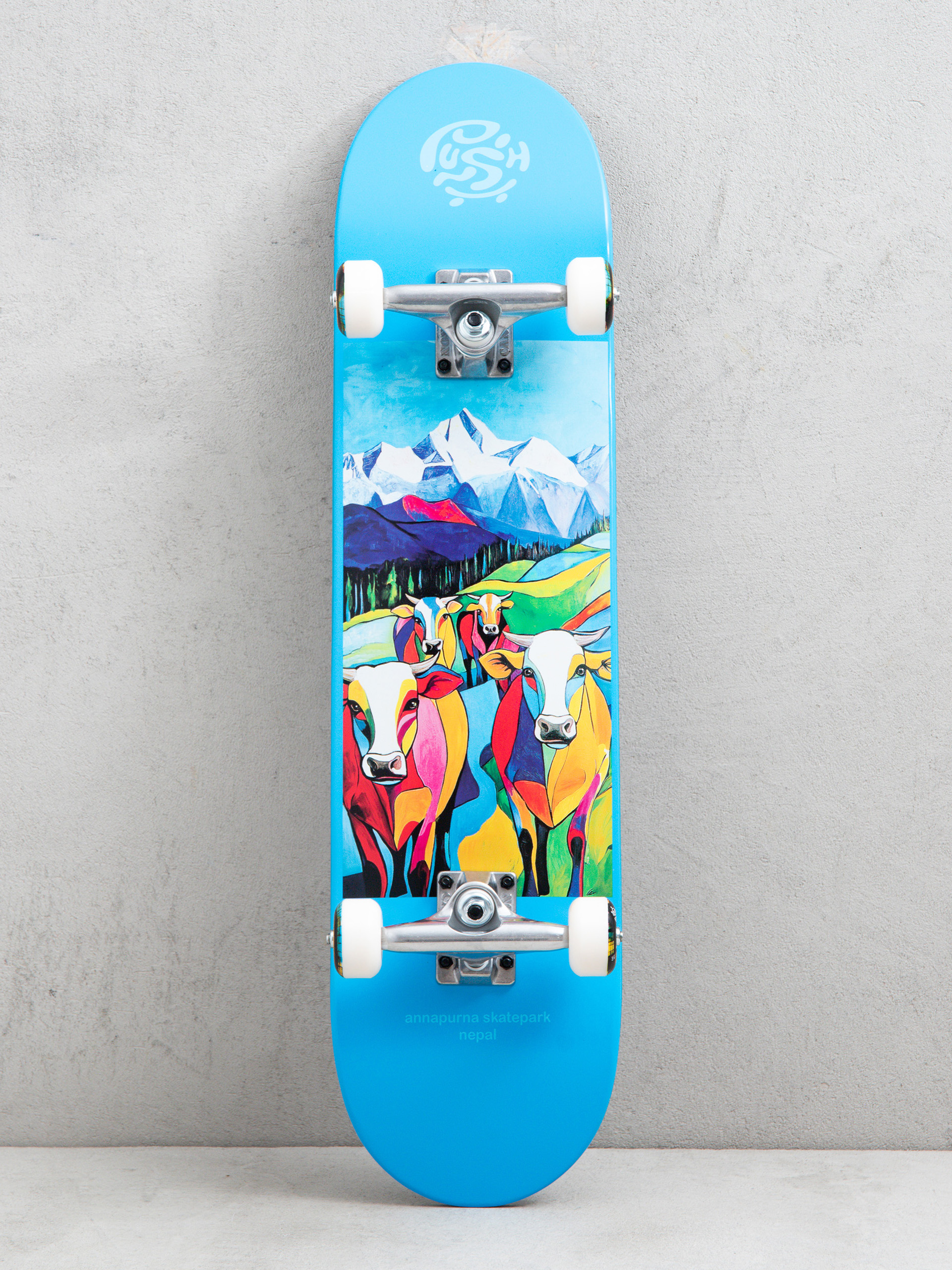 Skateboard Push Nepal (light blue)