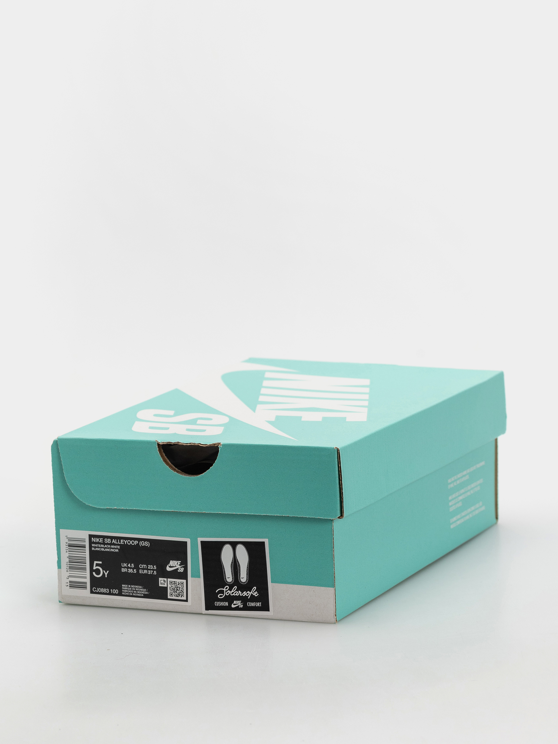 Pantofi Nike SB Alleyoop JR (white/black white)