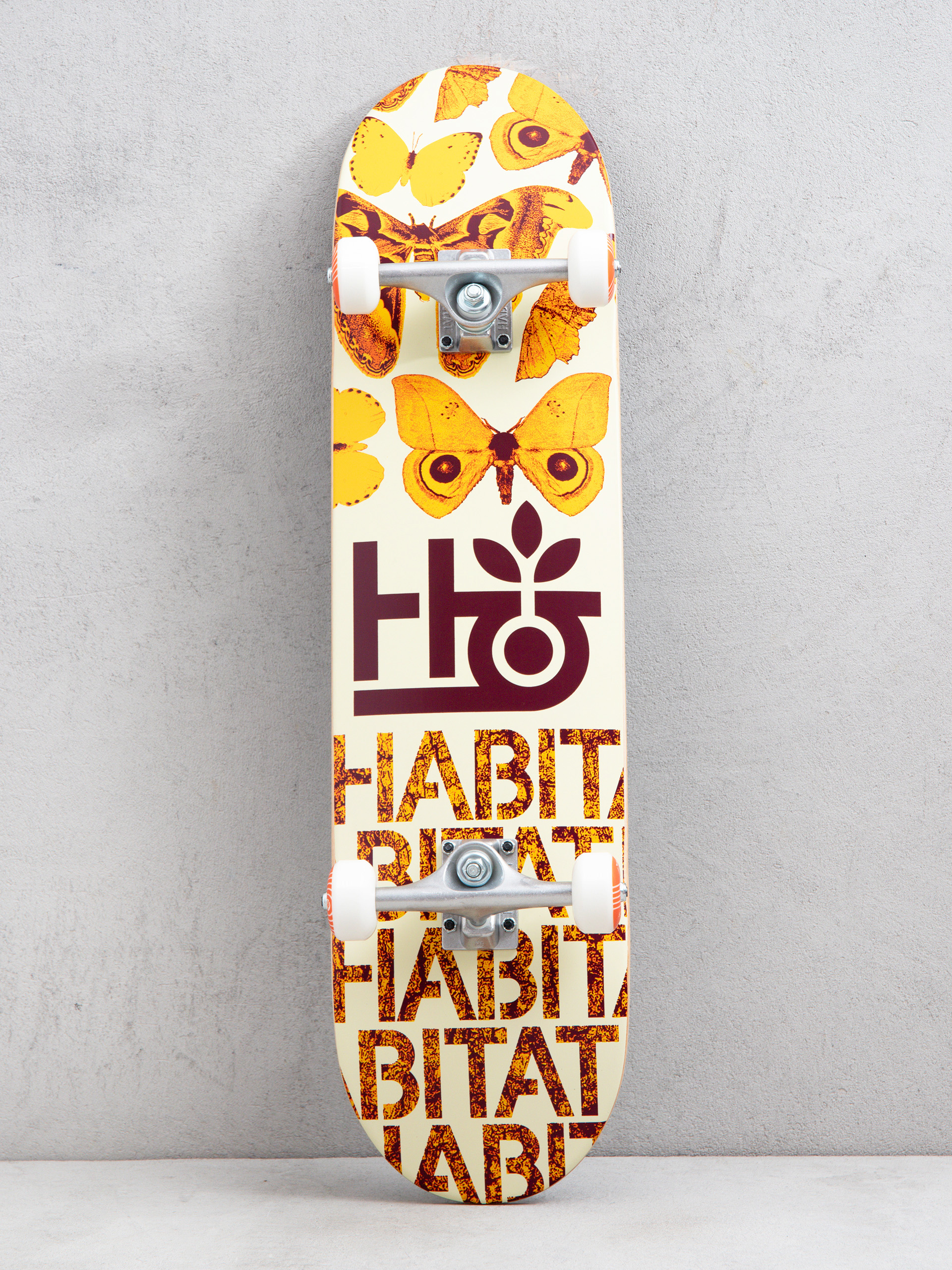 Skateboard Habitat Habitat Insecta (orange)