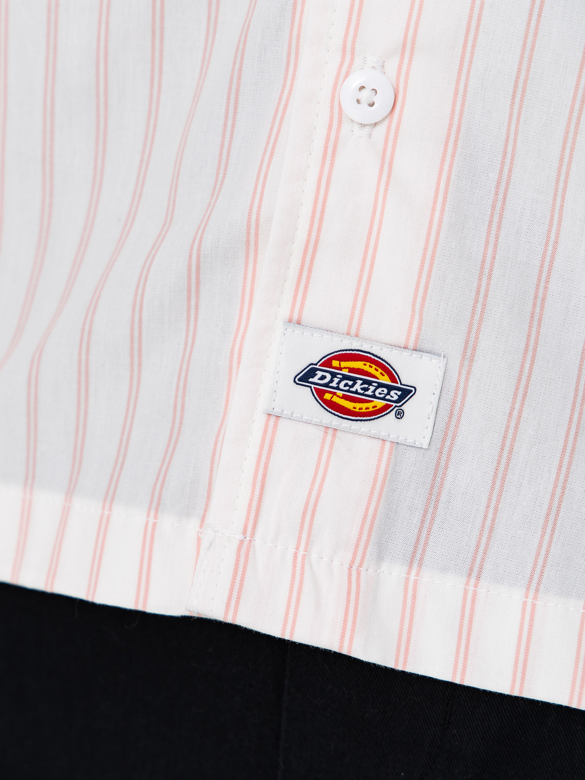 Cămașă Dickies Venedocia Stripe (white)