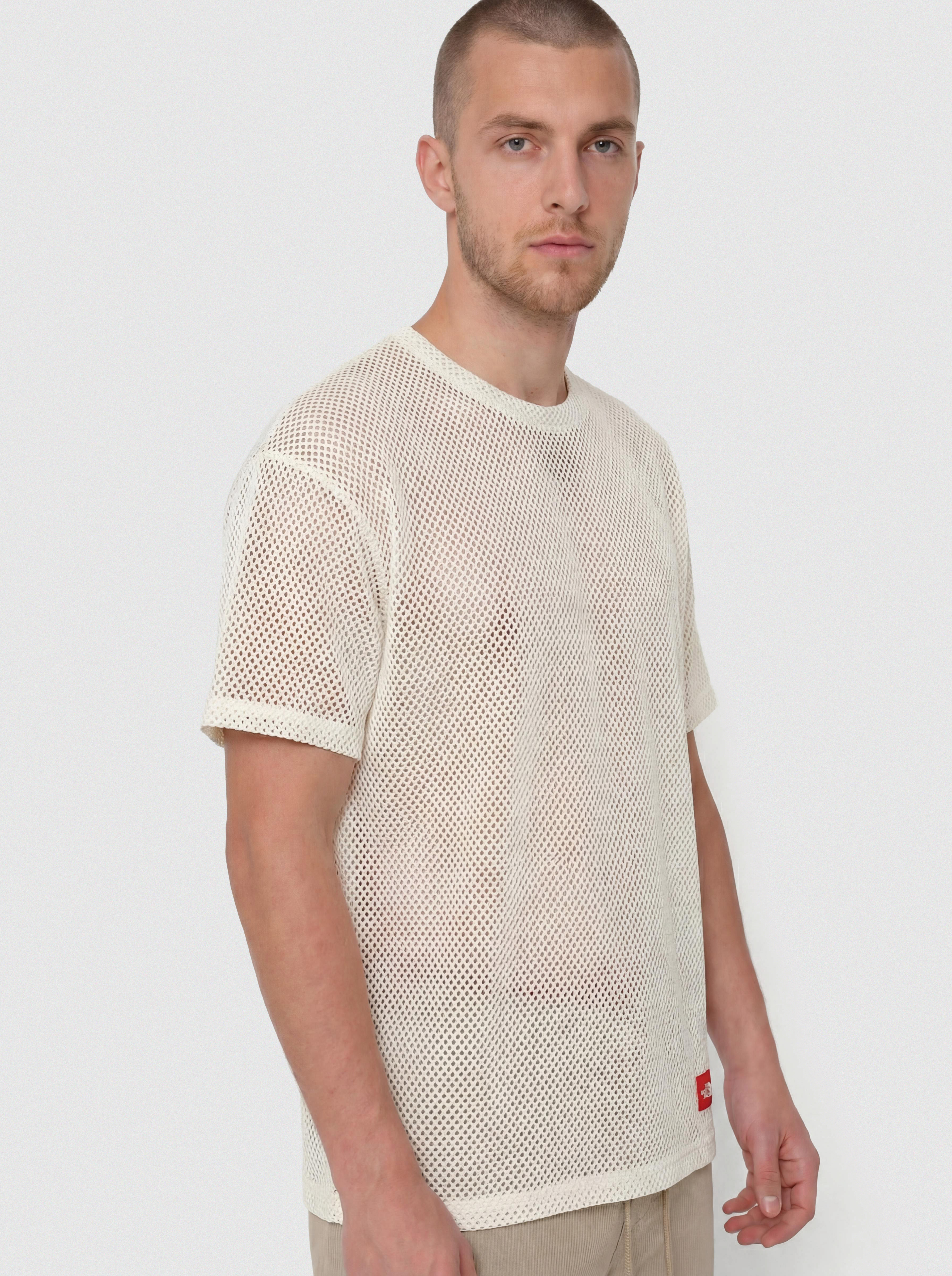 Tricou The North Face Tnf Red Box Mesh (white dune)