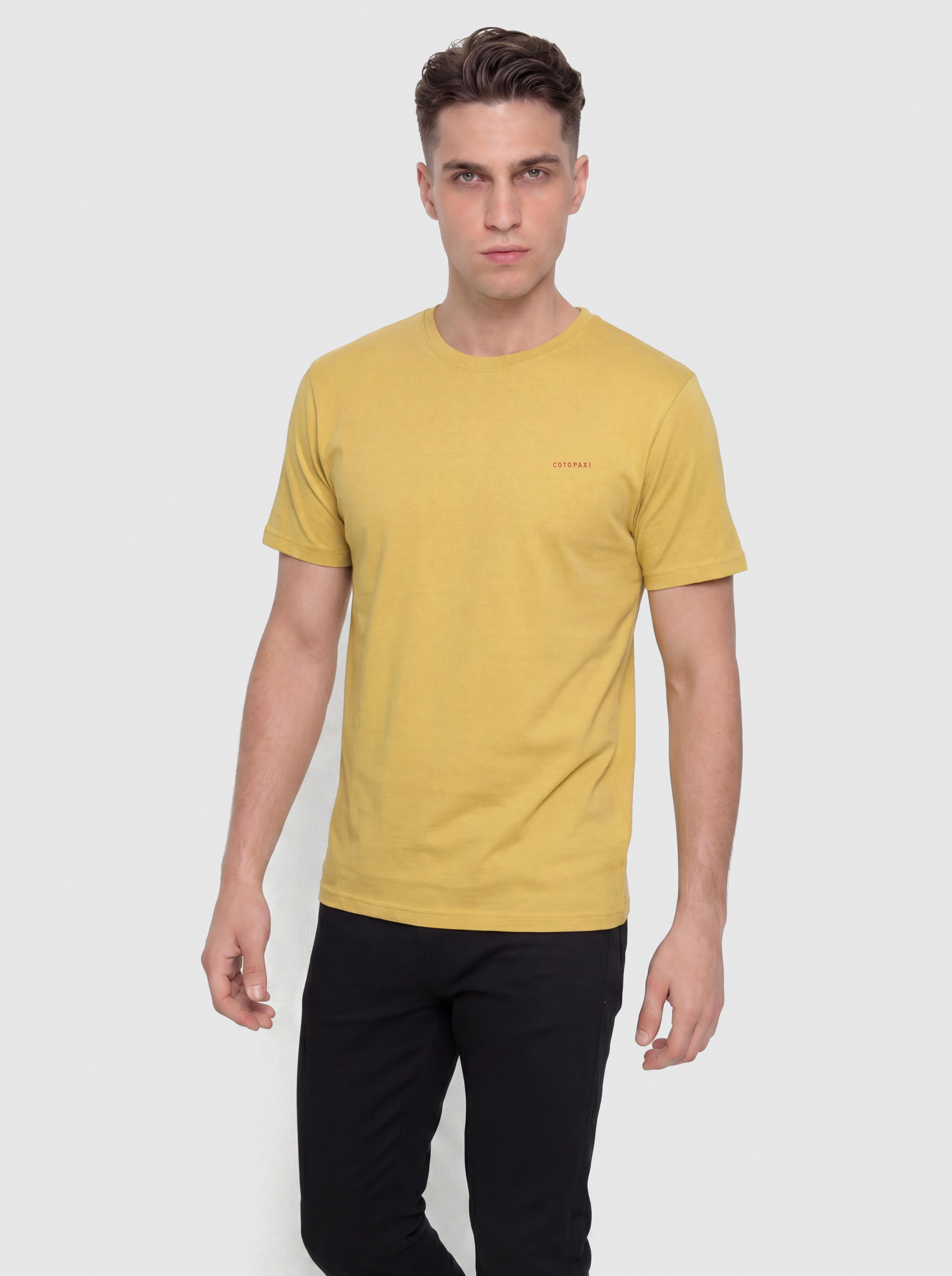 Tricou Cotopaxi Mountain Magic (husk)