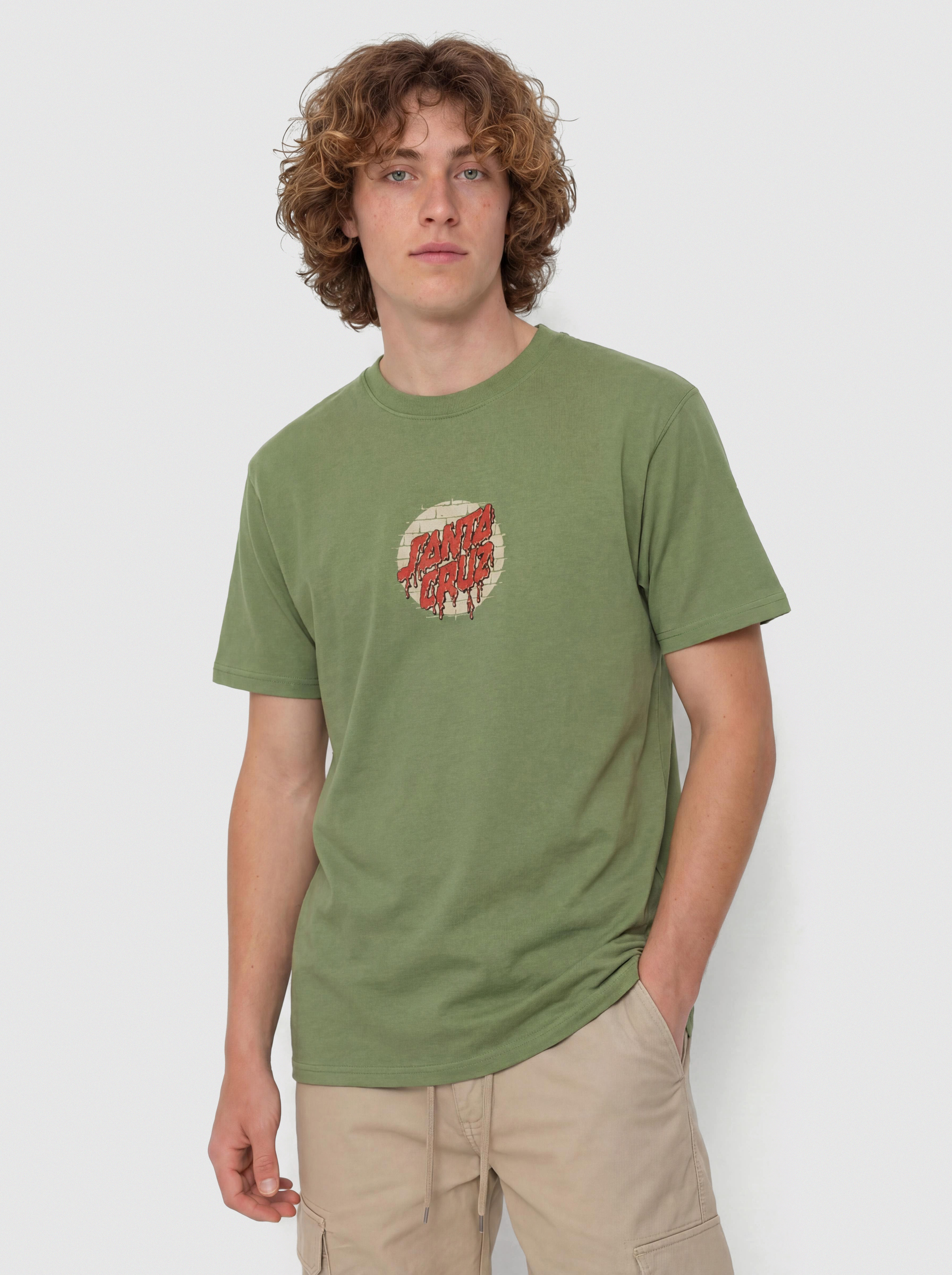 Tricou Santa Cruz Delfino Spotlight Fnt