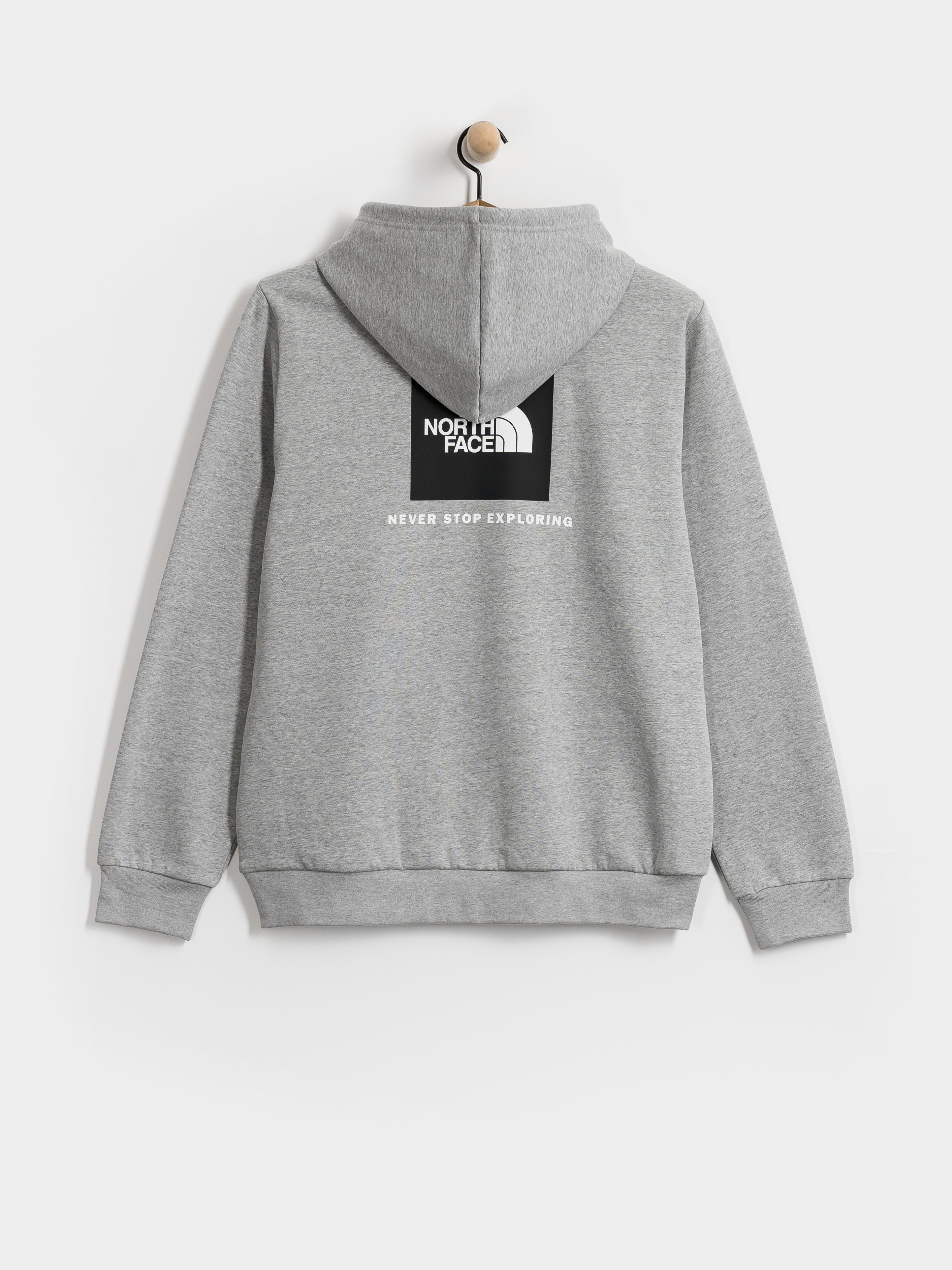 Hanorac cu glugă The North Face Evolution Box Nse Regular HD (tnf pale grey heather)