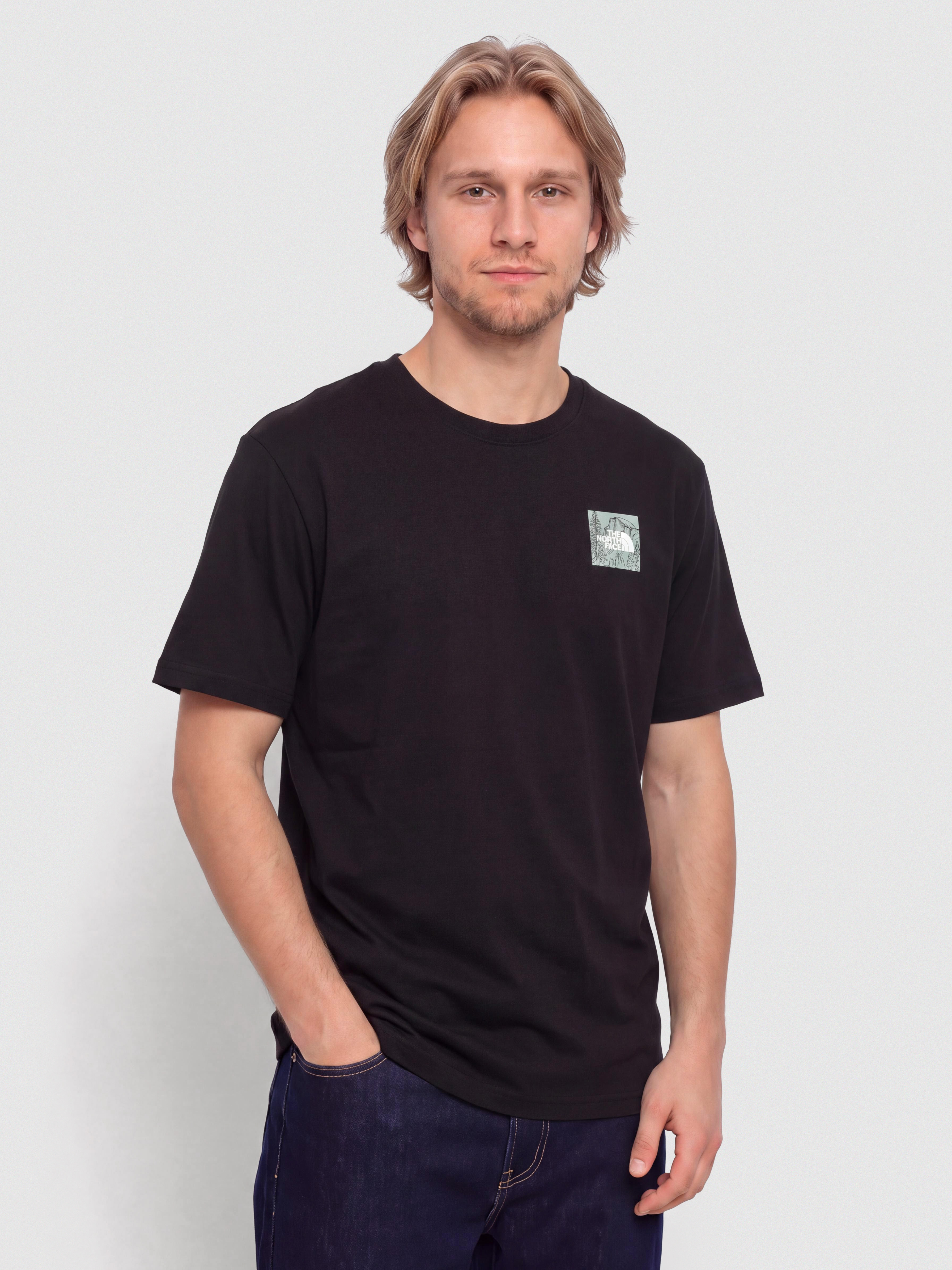 Tricou The North Face Monte Regular