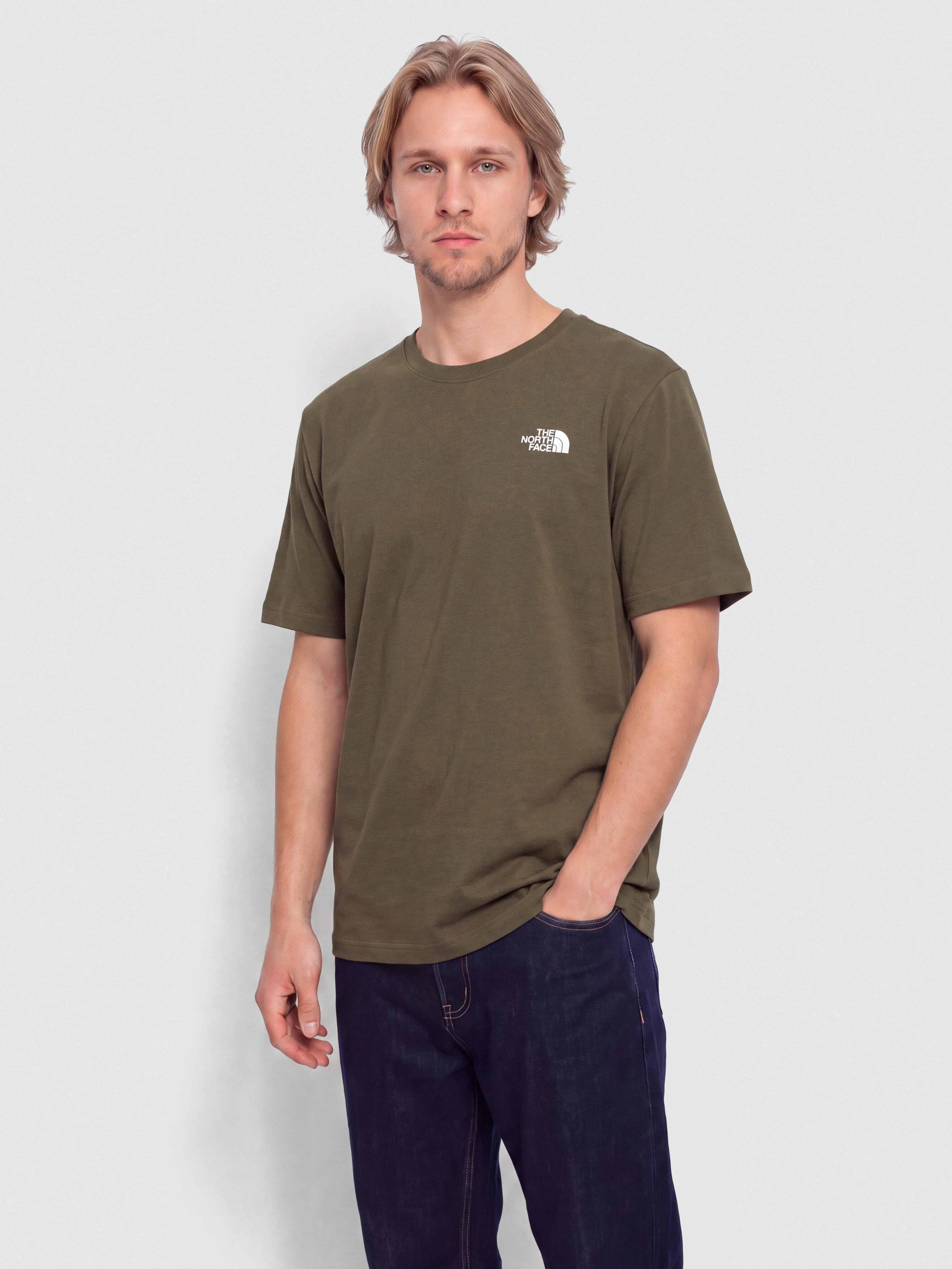 Tricou The North Face Box Nse Celebration (new taupe green)