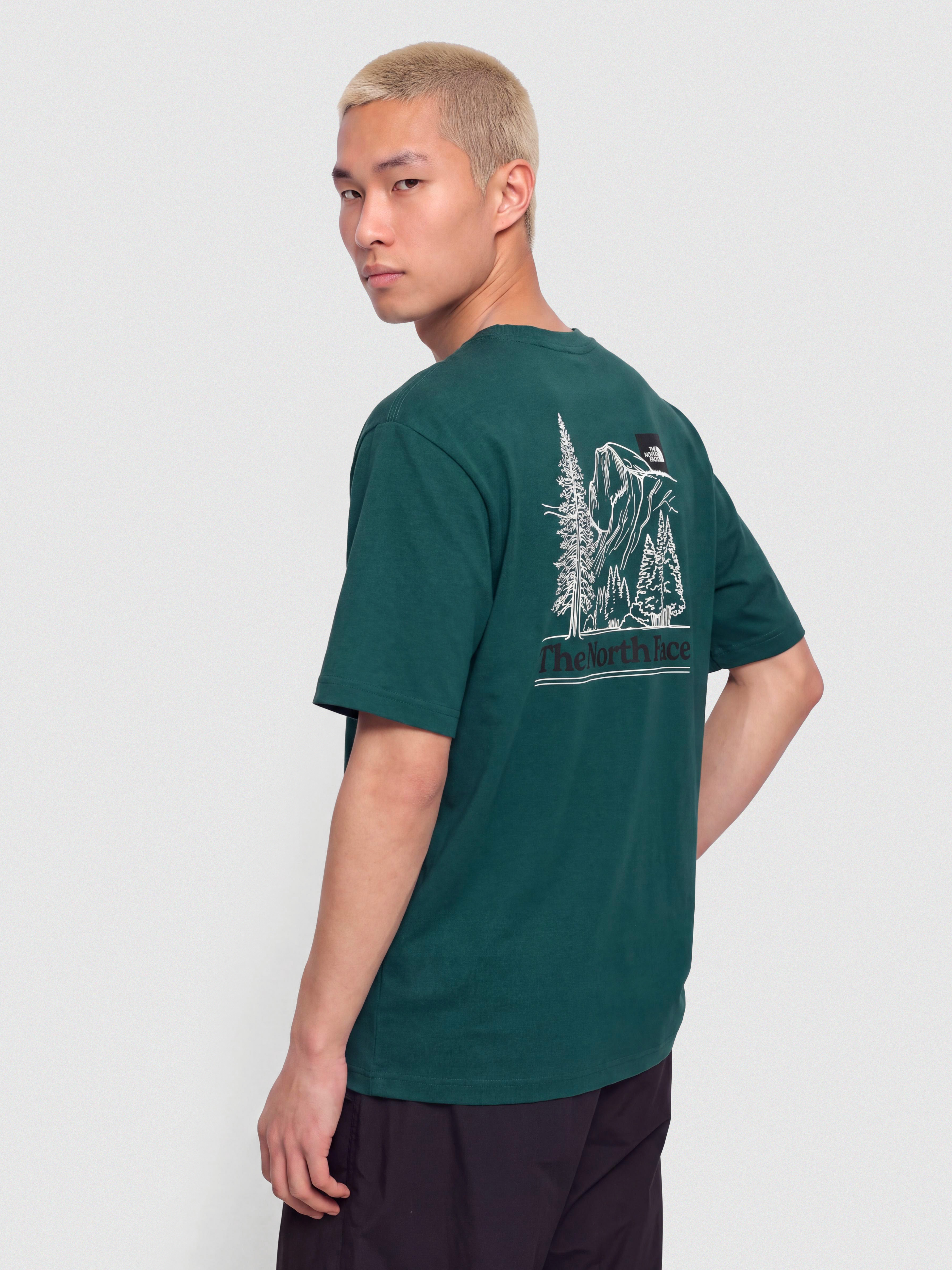 Tricou The North Face Monte Regular