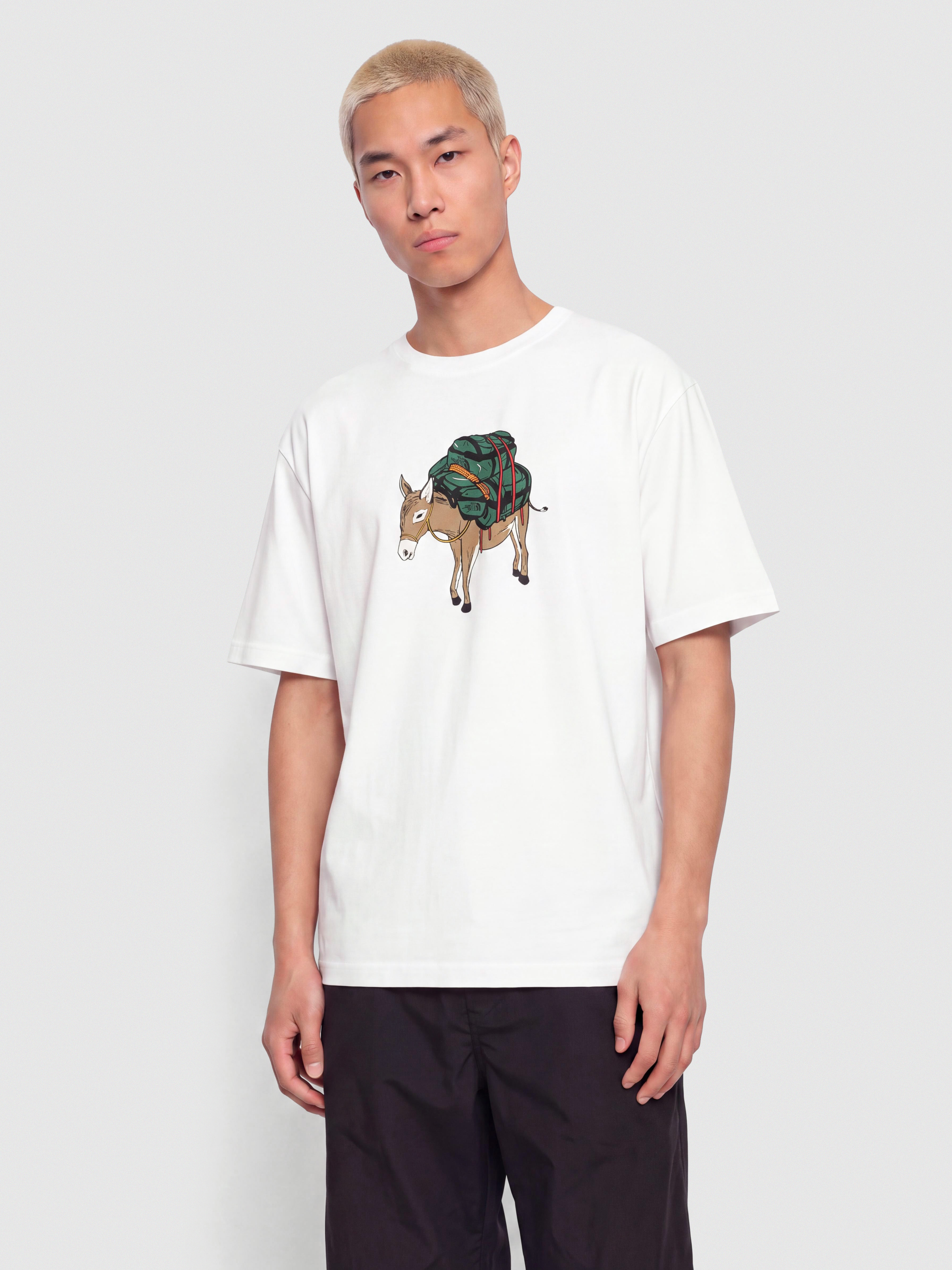 Tricou The North Face Donkey Taxi Relaxed (tnf white)