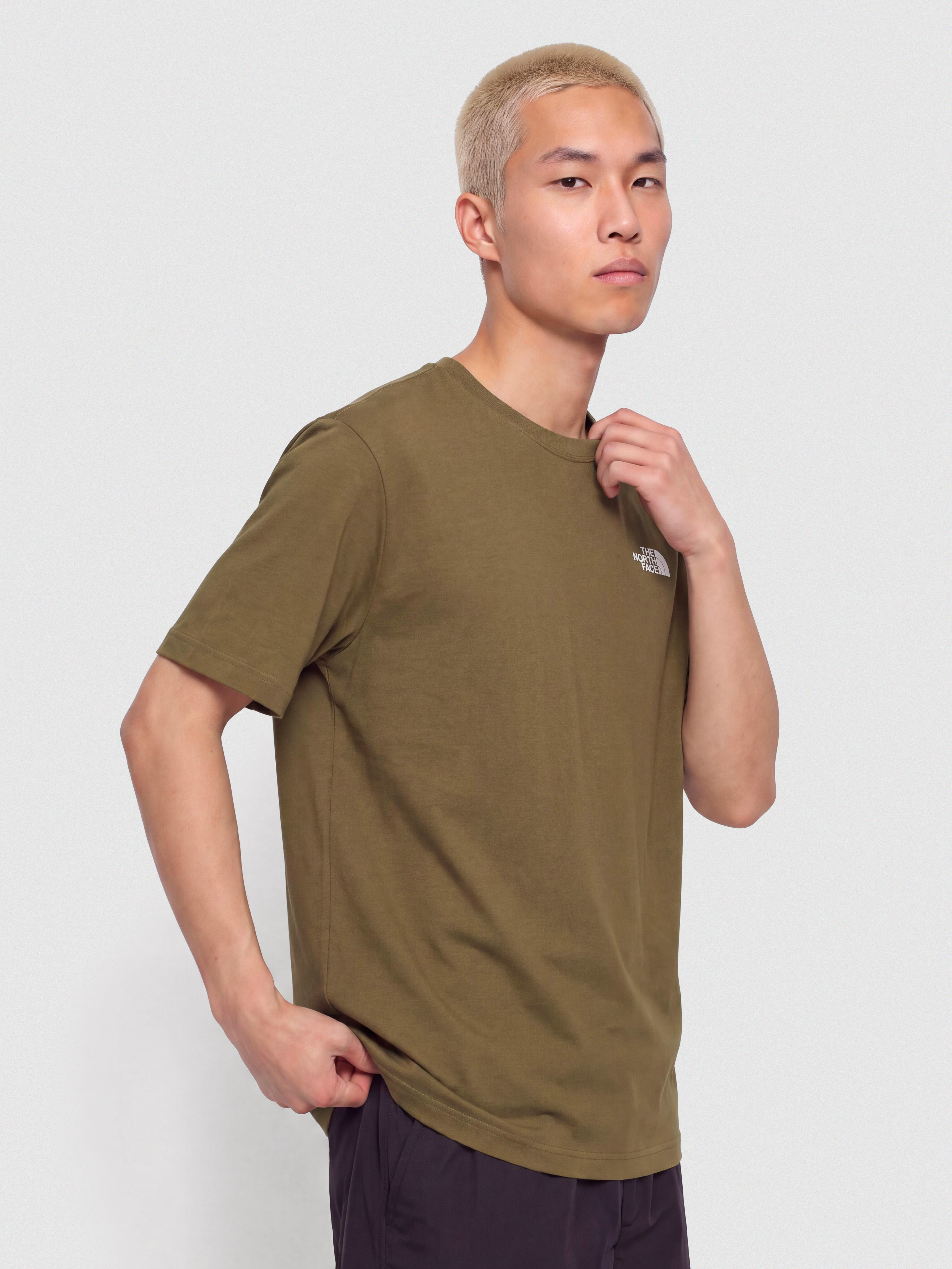 Tricou The North Face Evolution Simple Dome (caraway seed)