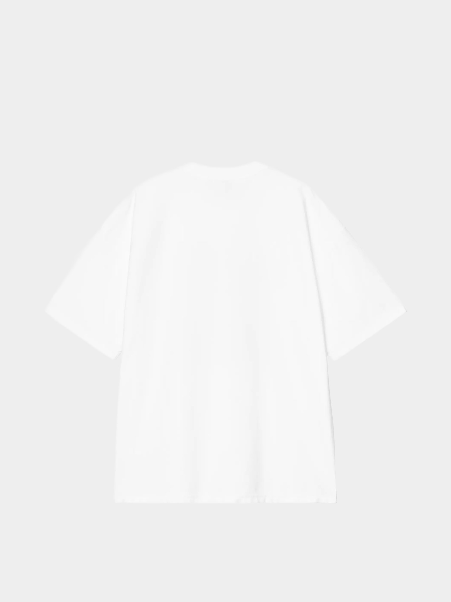 Tricou Carhartt WIP 1989 Winners (white/heavy stone wash)