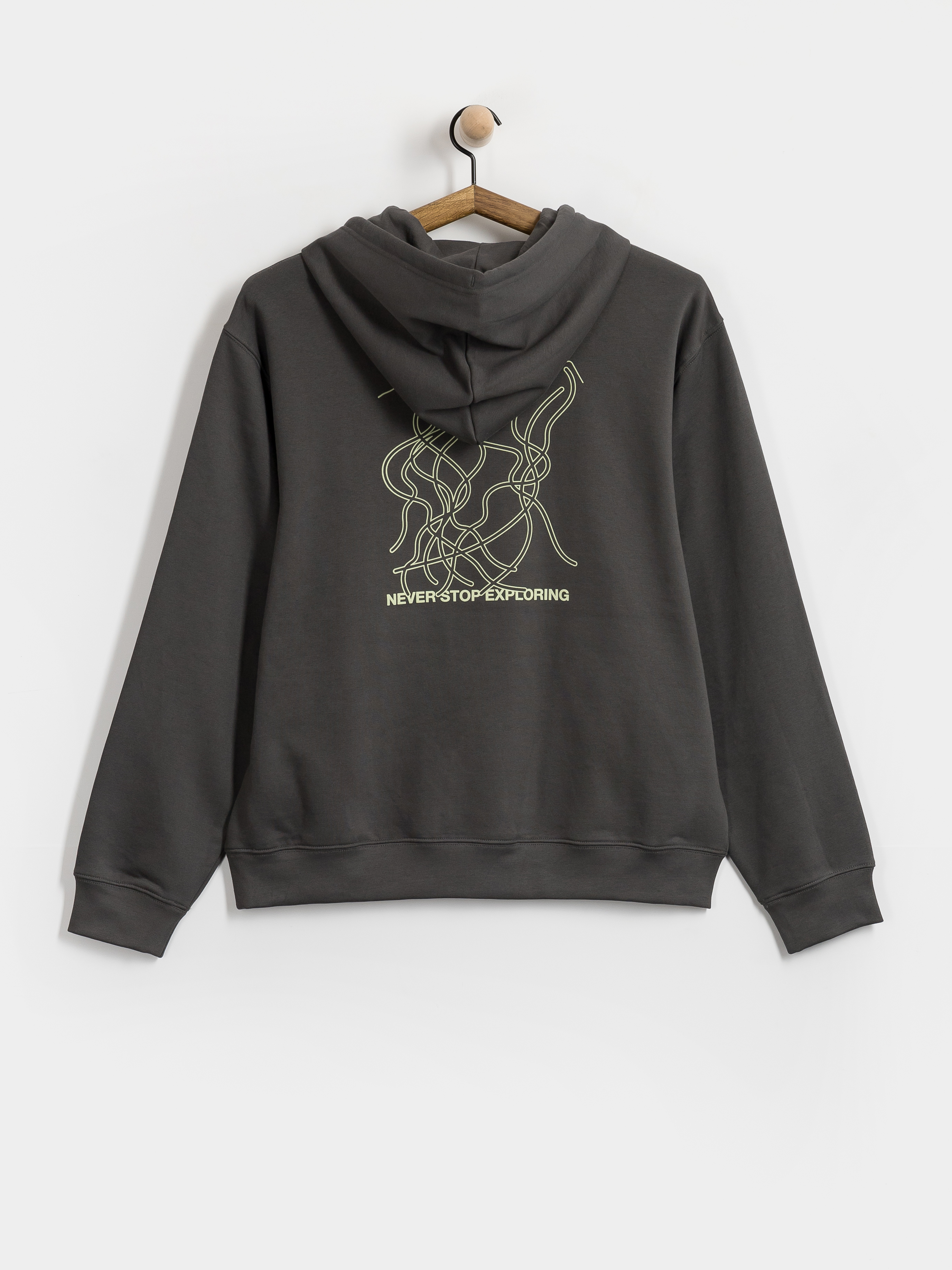 Hanorac cu glugă The North Face Nse Slopes Relaxed HD