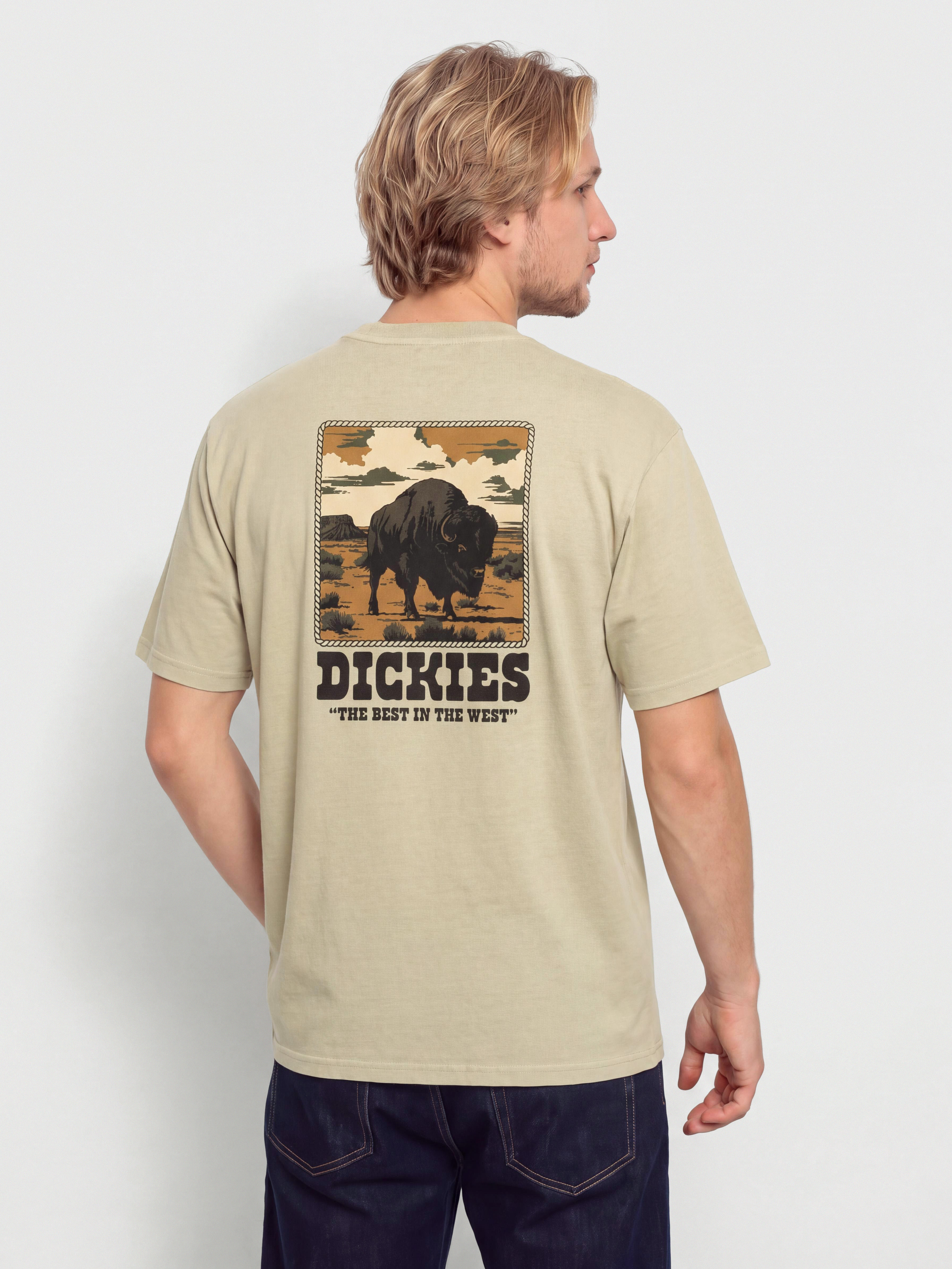 Tricou Dickies Darrtown