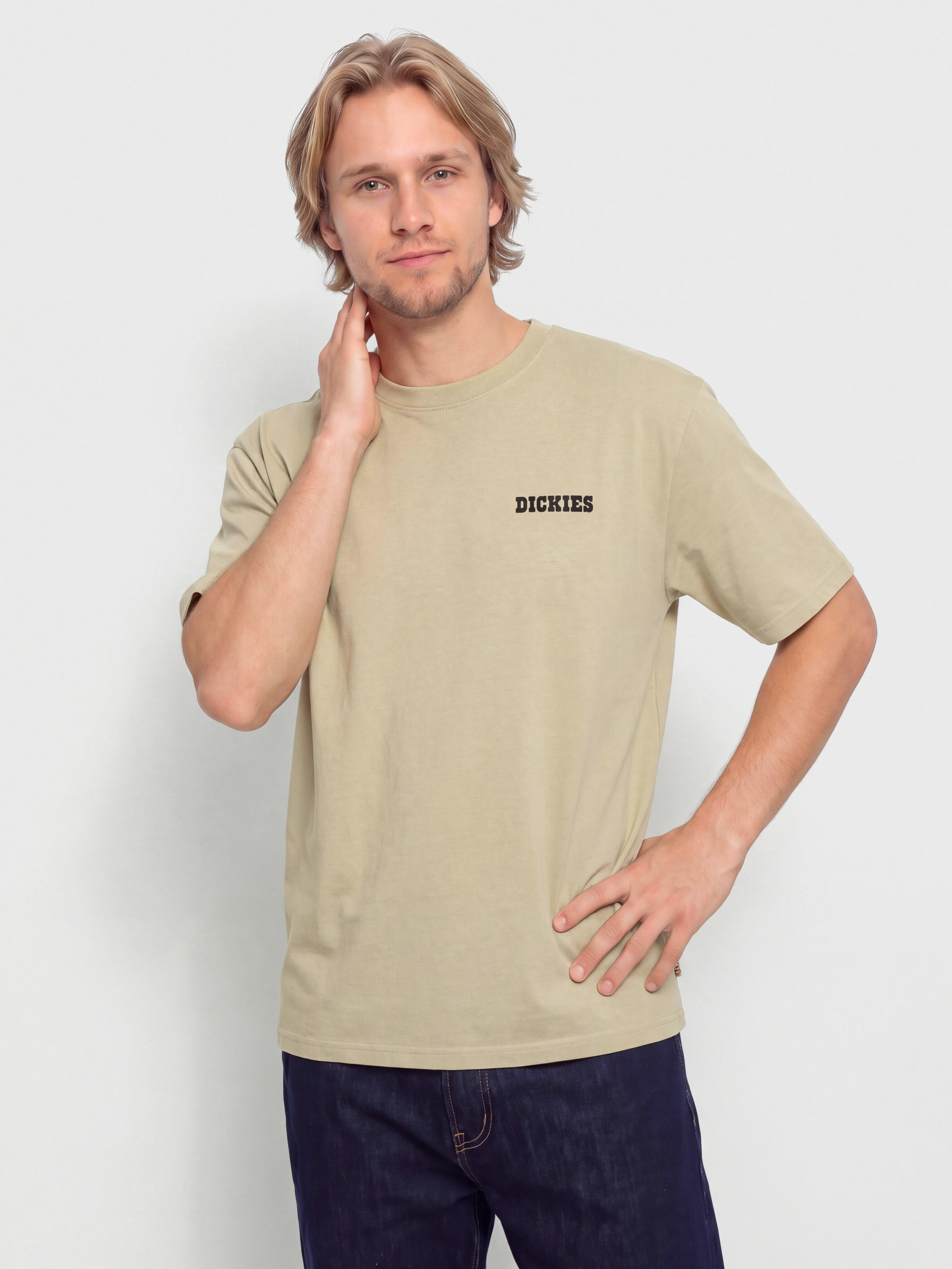 Tricou Dickies Darrtown (eucalyptus)
