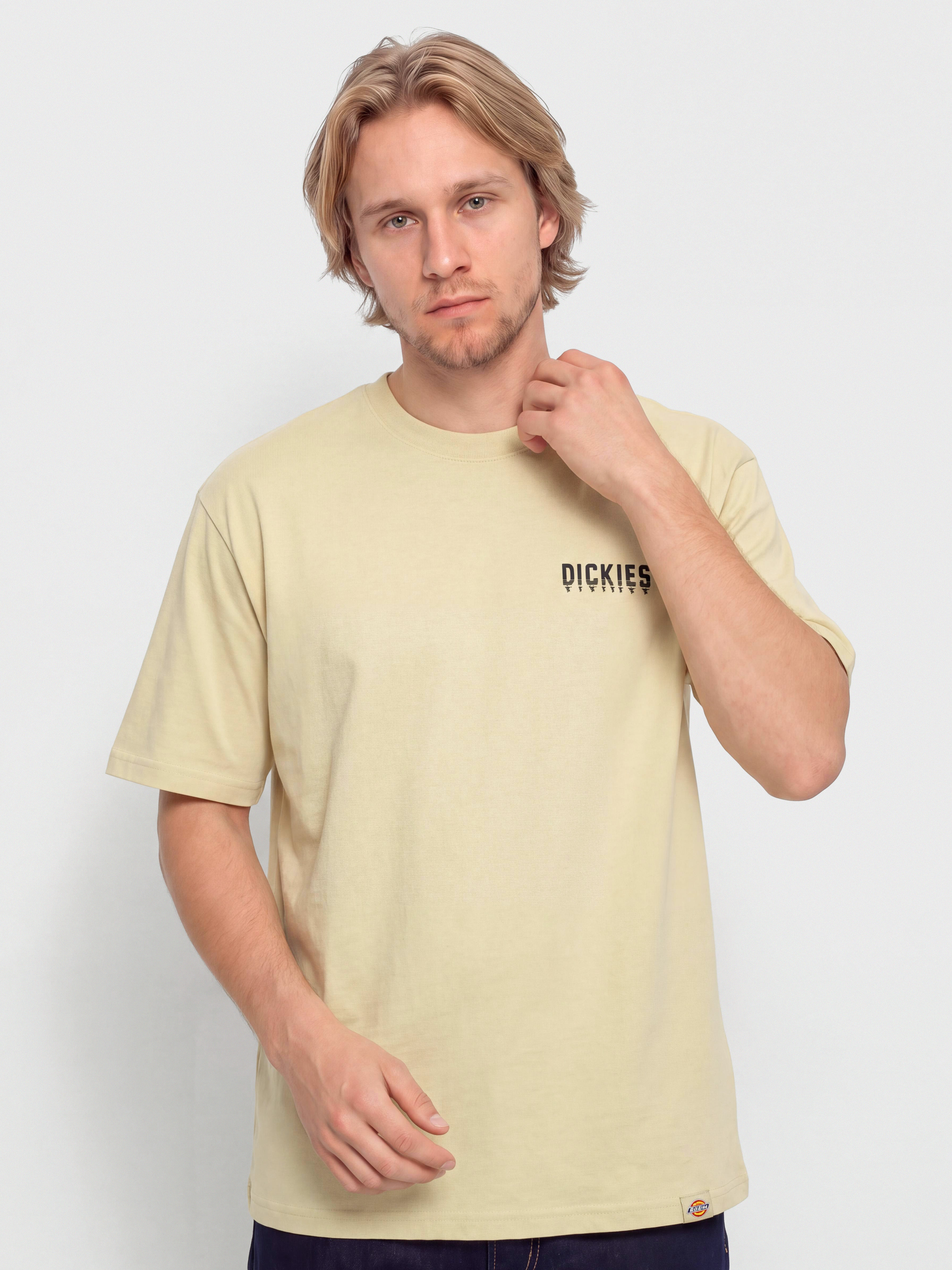 Tricou Dickies Pelham (wood ash)