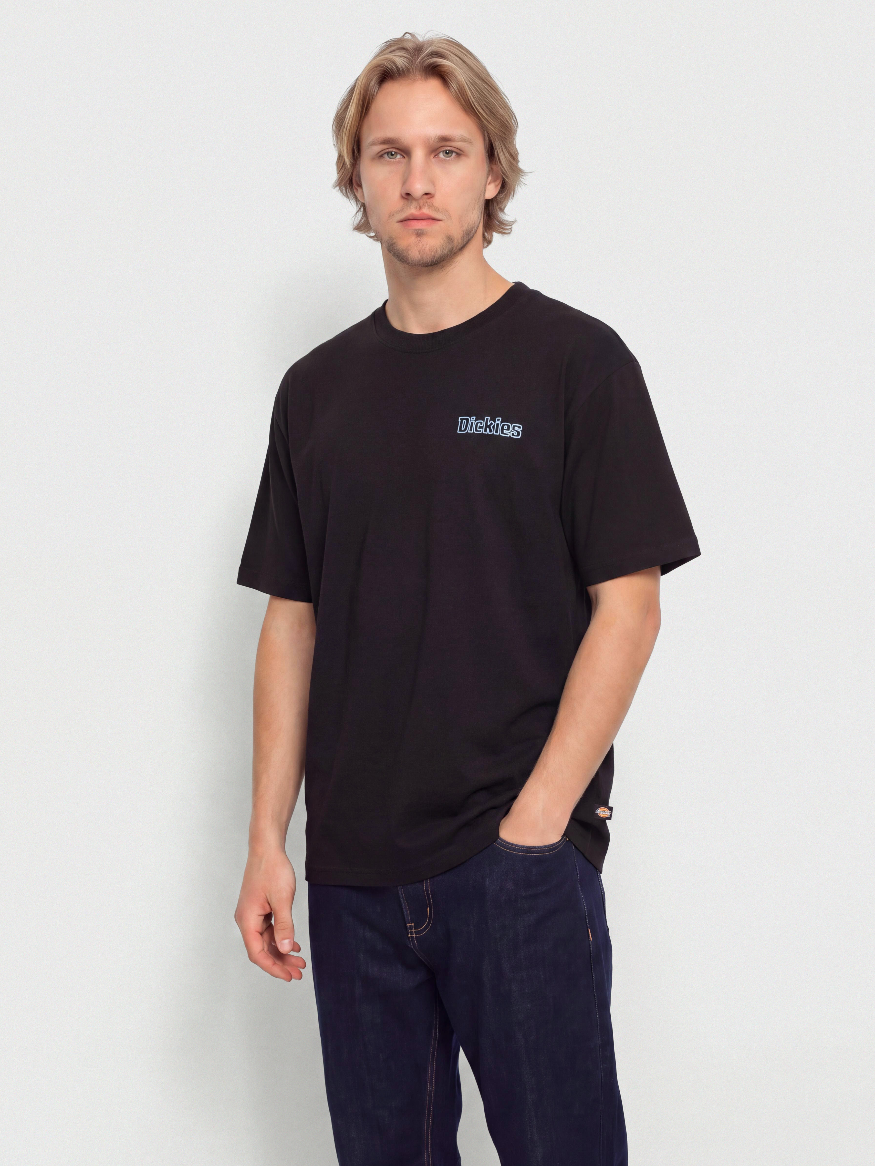 Tricou Dickies Fairlawn (black)