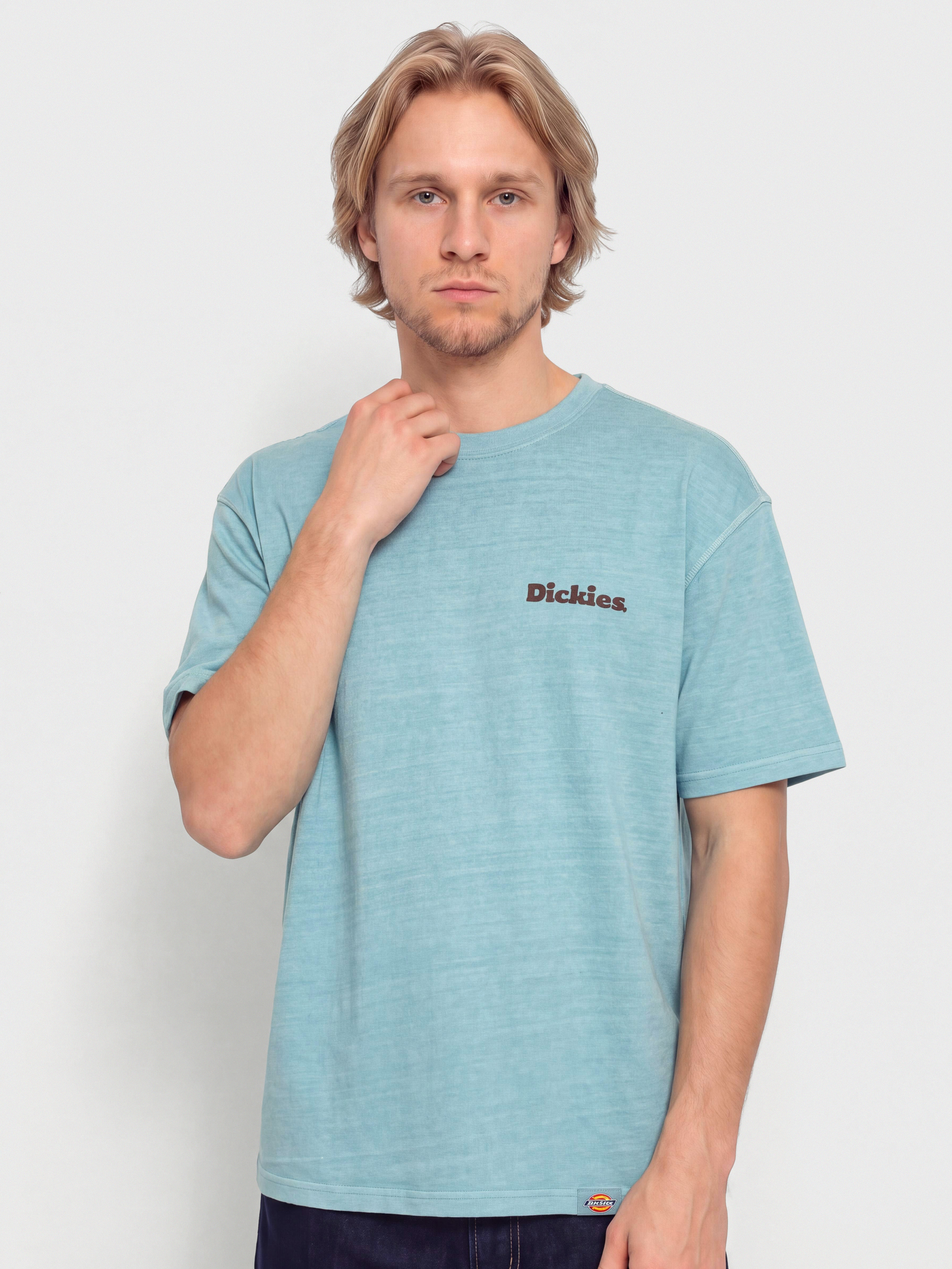 Tricou Dickies Slayden (glacier lake)
