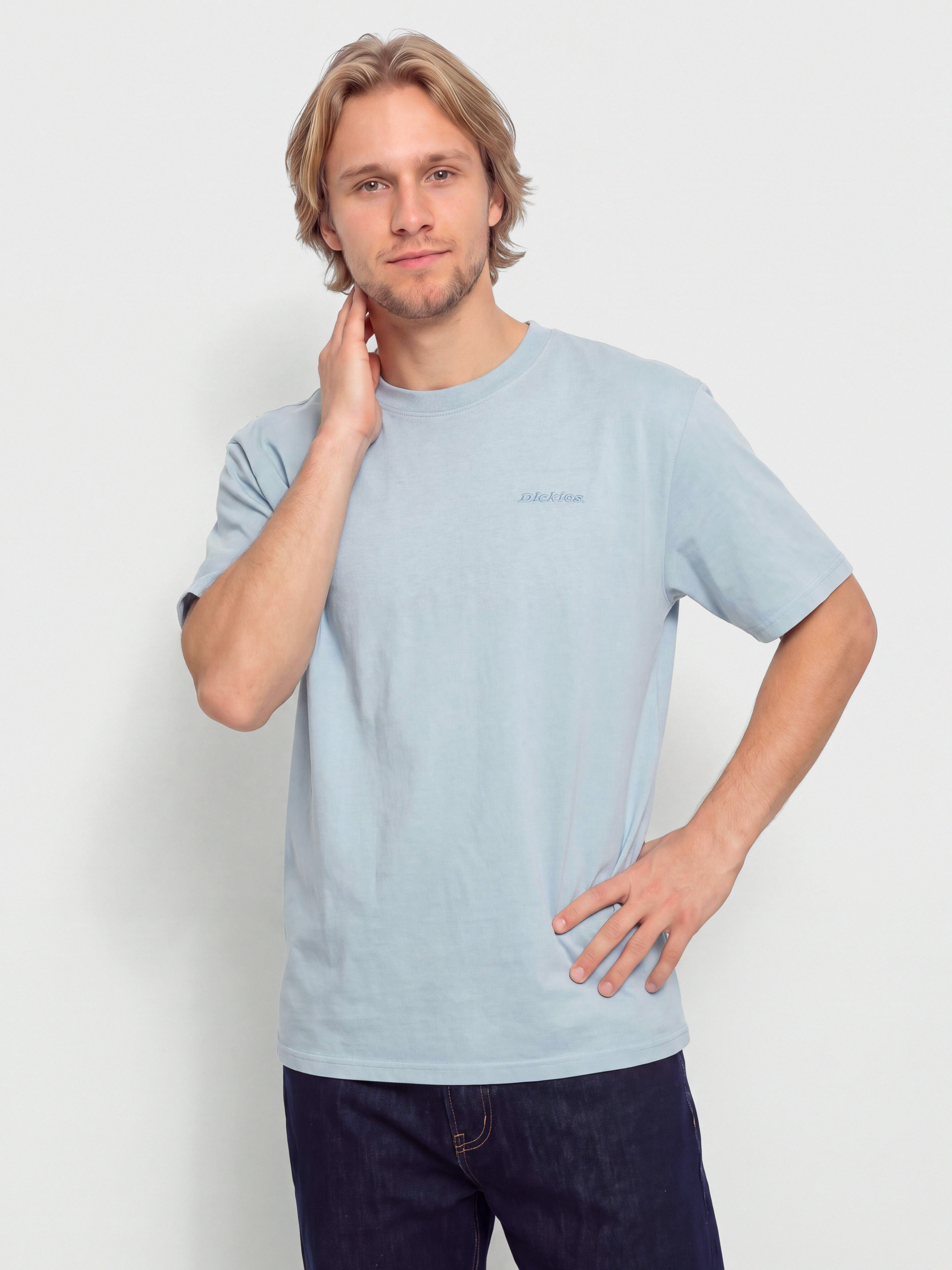Tricou Dickies Plentywood (endless sky)