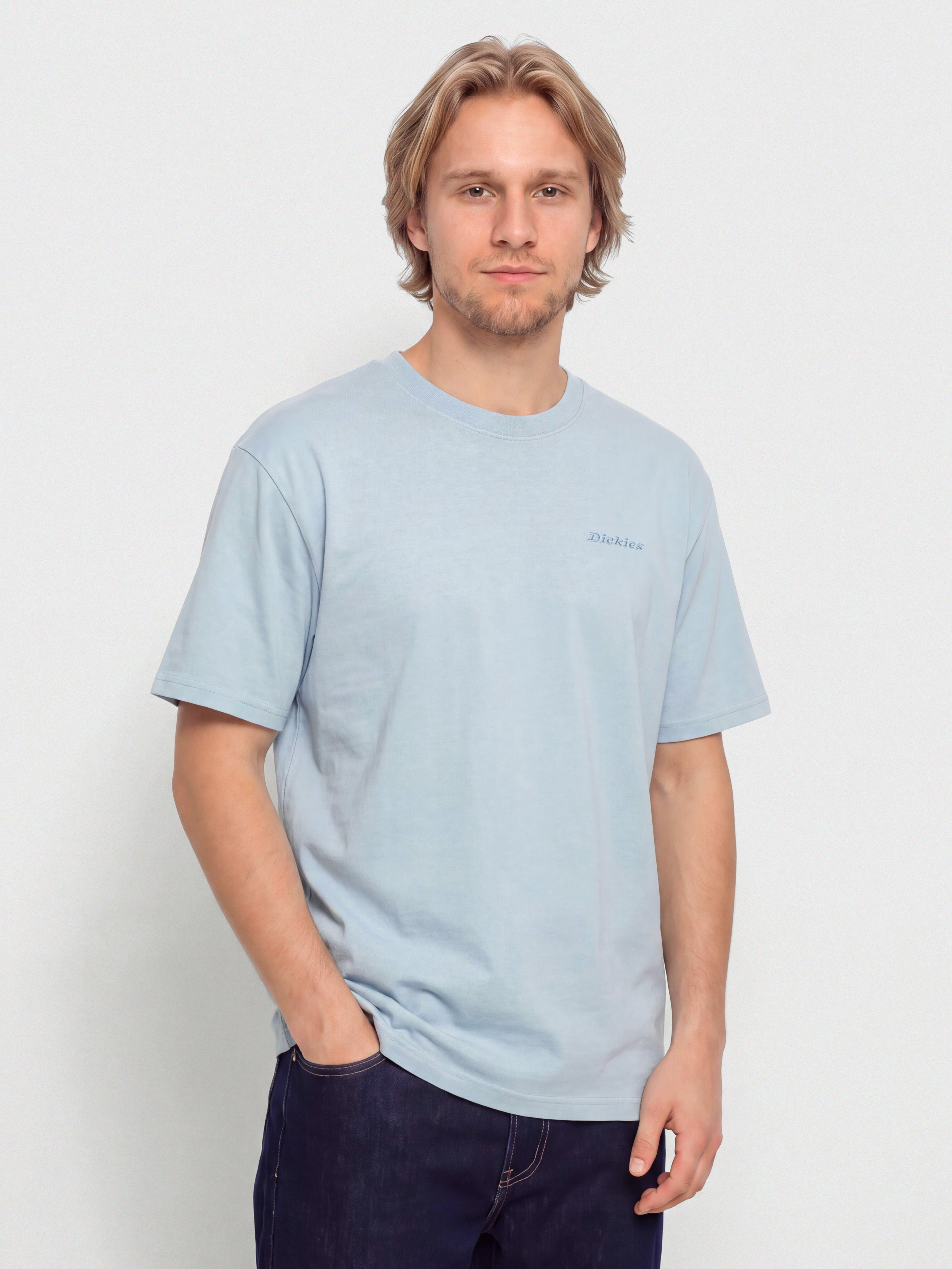 Tricou Dickies Plentywood (endless sky)