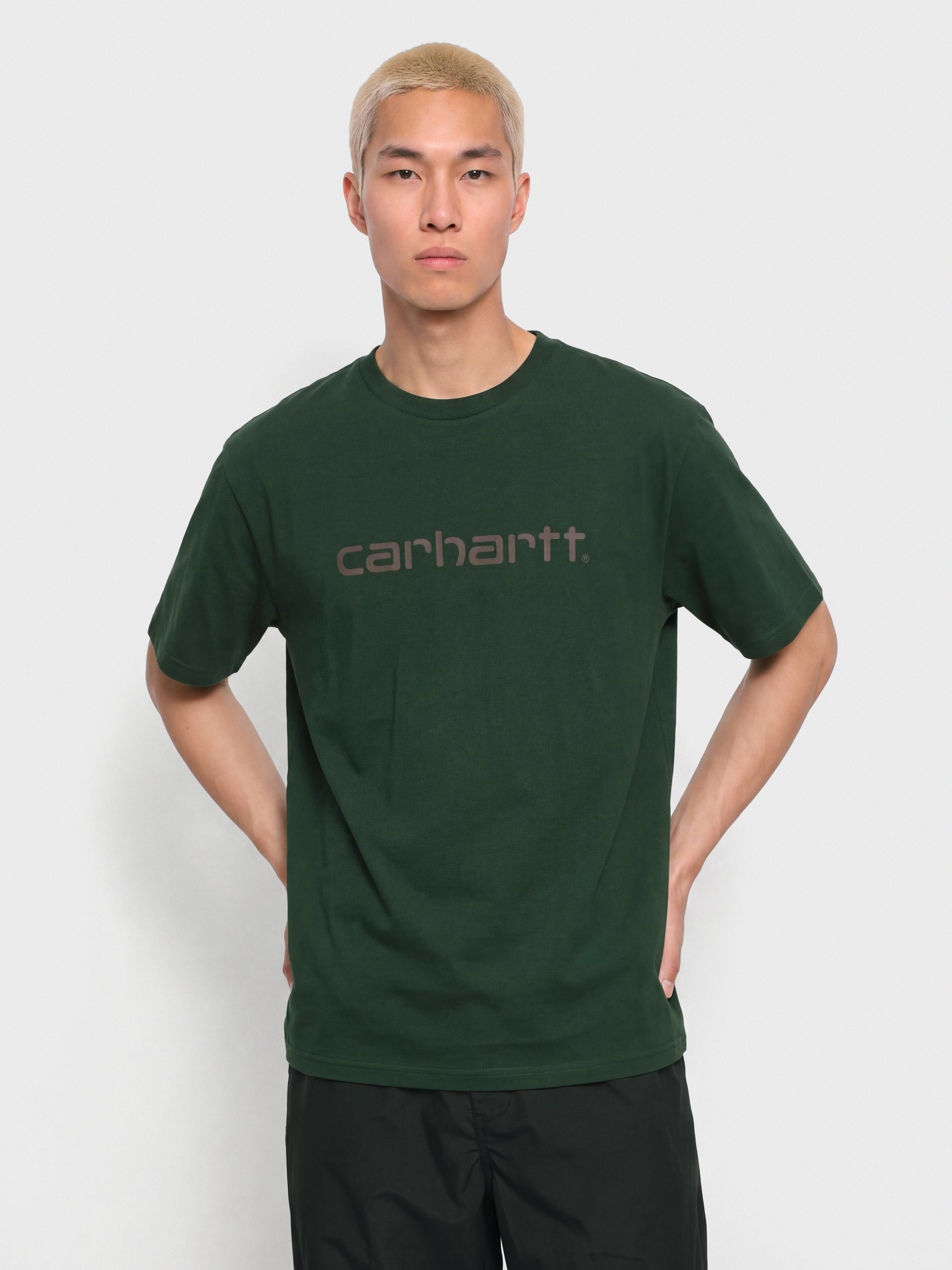Tricou Carhartt WIP Script (dark scarab/palisander)