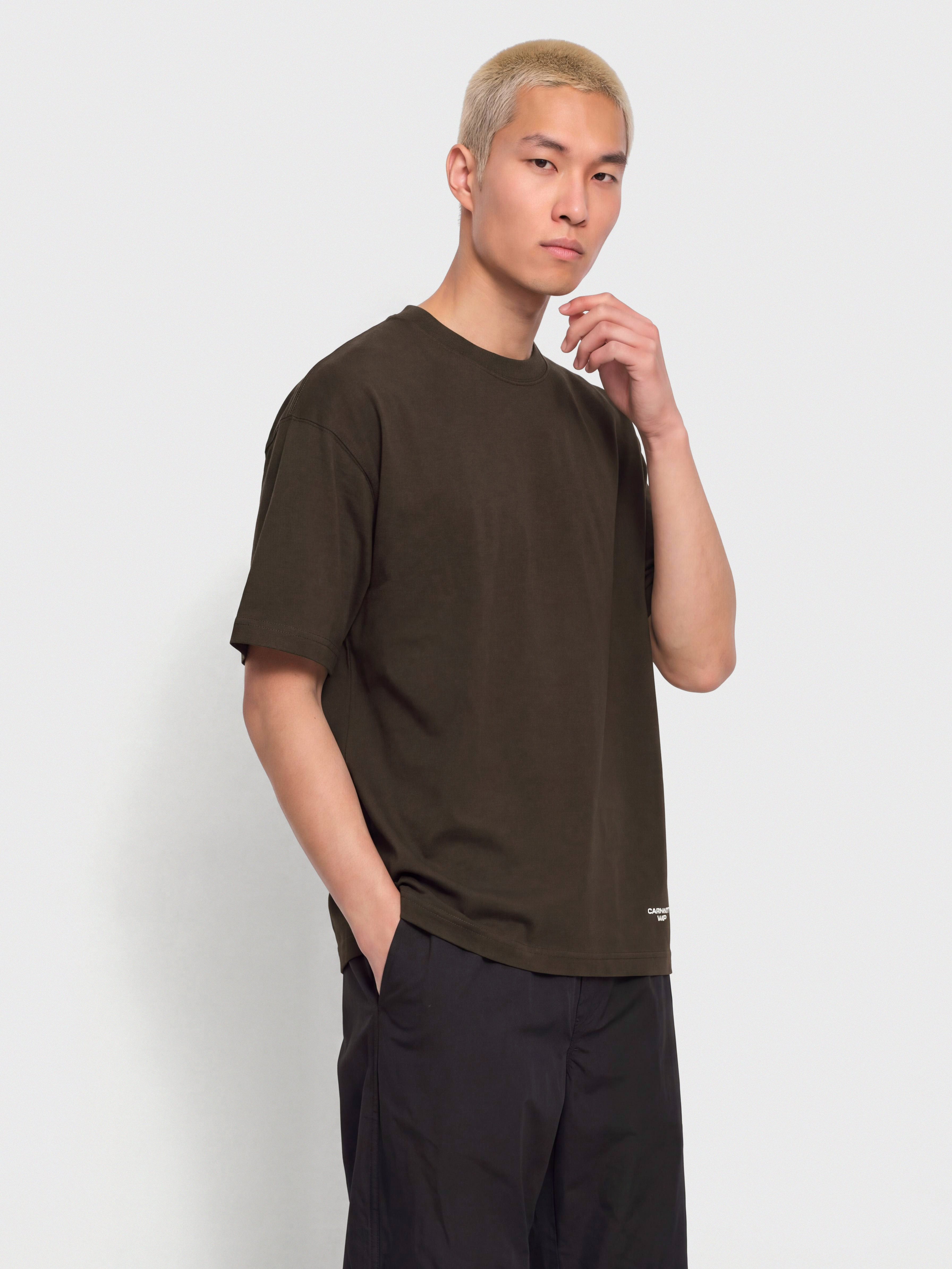 Tricou Carhartt WIP Chapter Script (tobacco/white)
