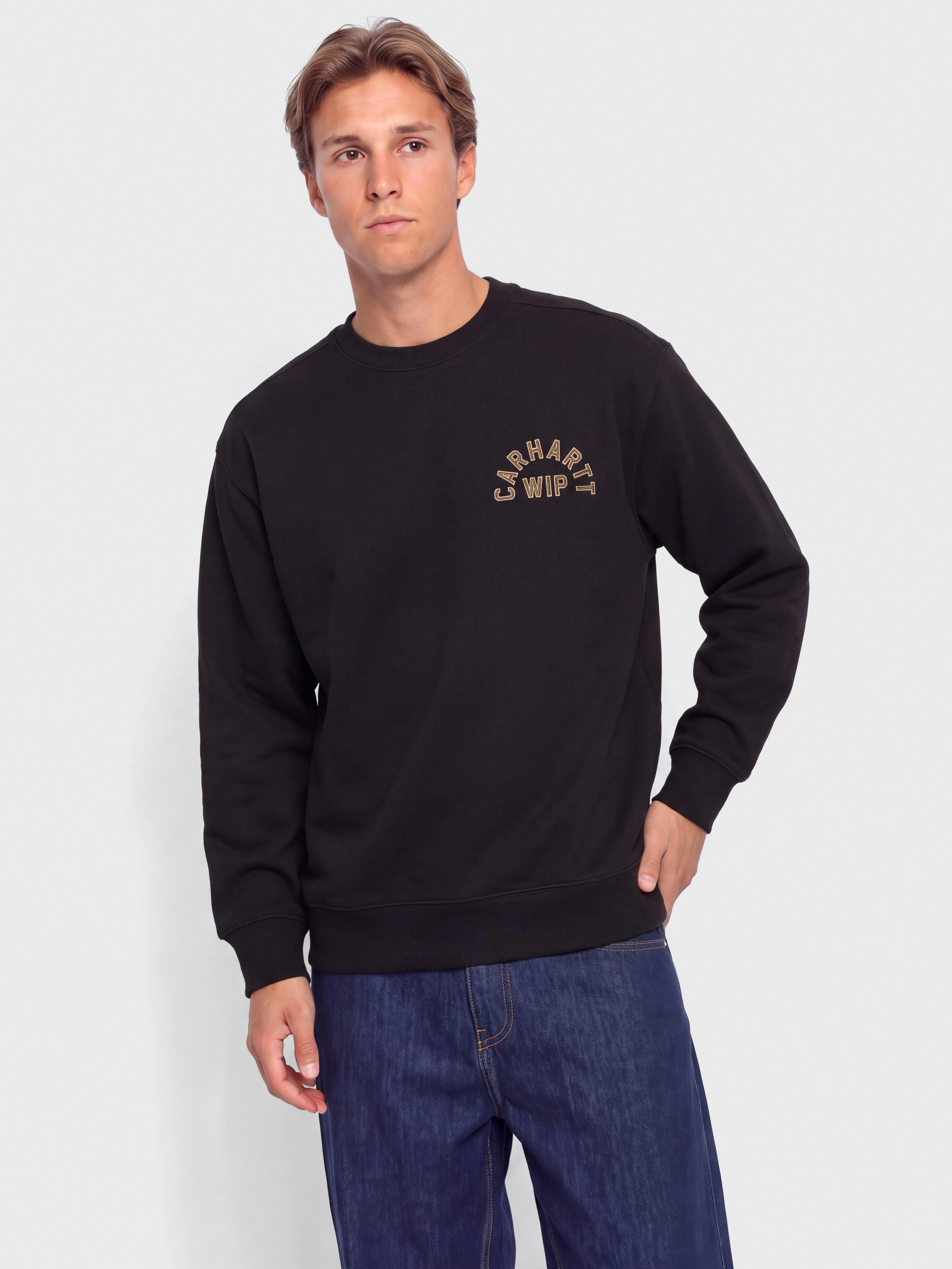Hanorac Carhartt WIP Arch Script (black/hamilton brown/stone washed)