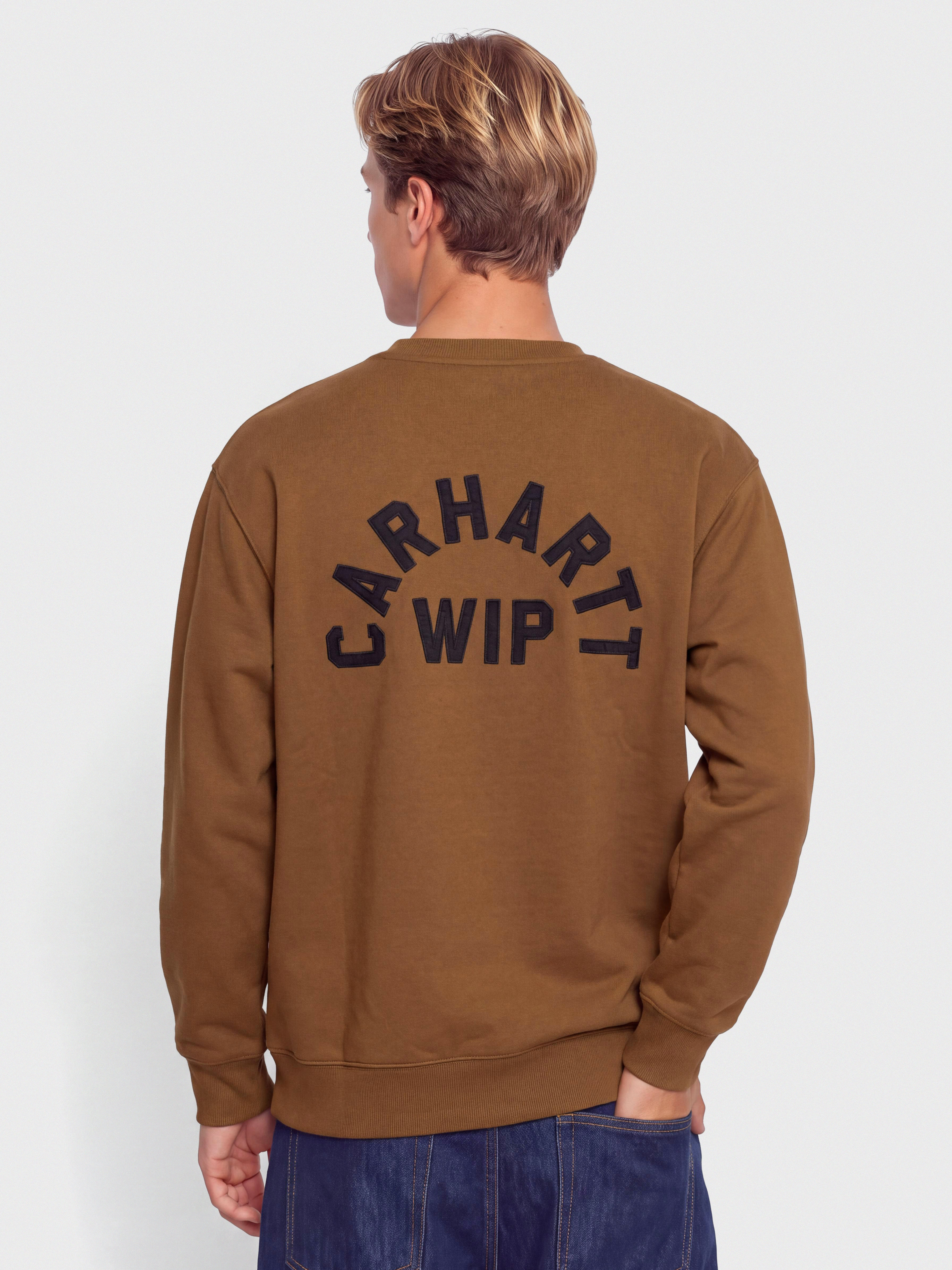 Hanorac Carhartt WIP Arch Script (wip h brown/black/stone washed)