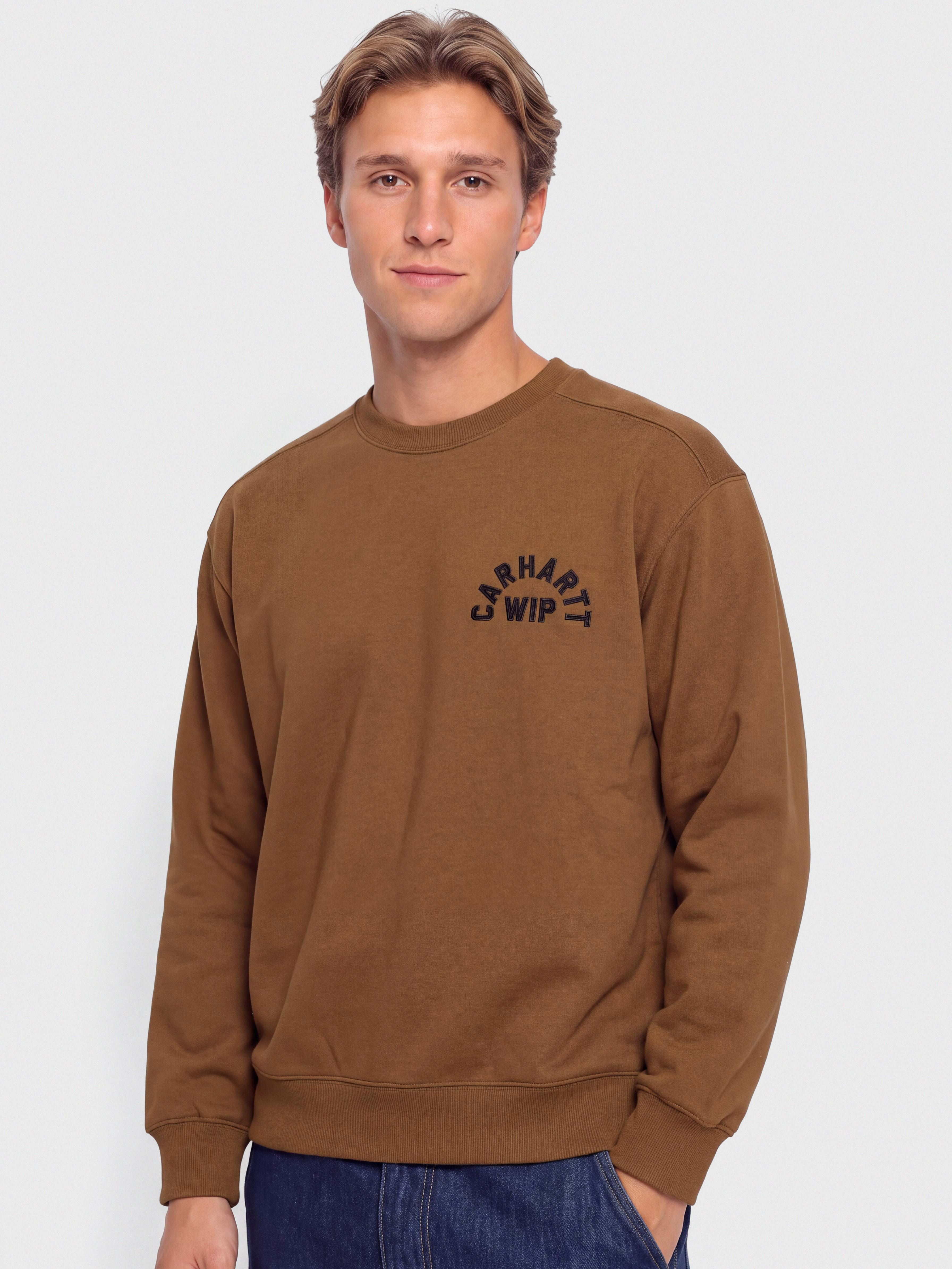 Hanorac Carhartt WIP Arch Script (wip h brown/black/stone washed)