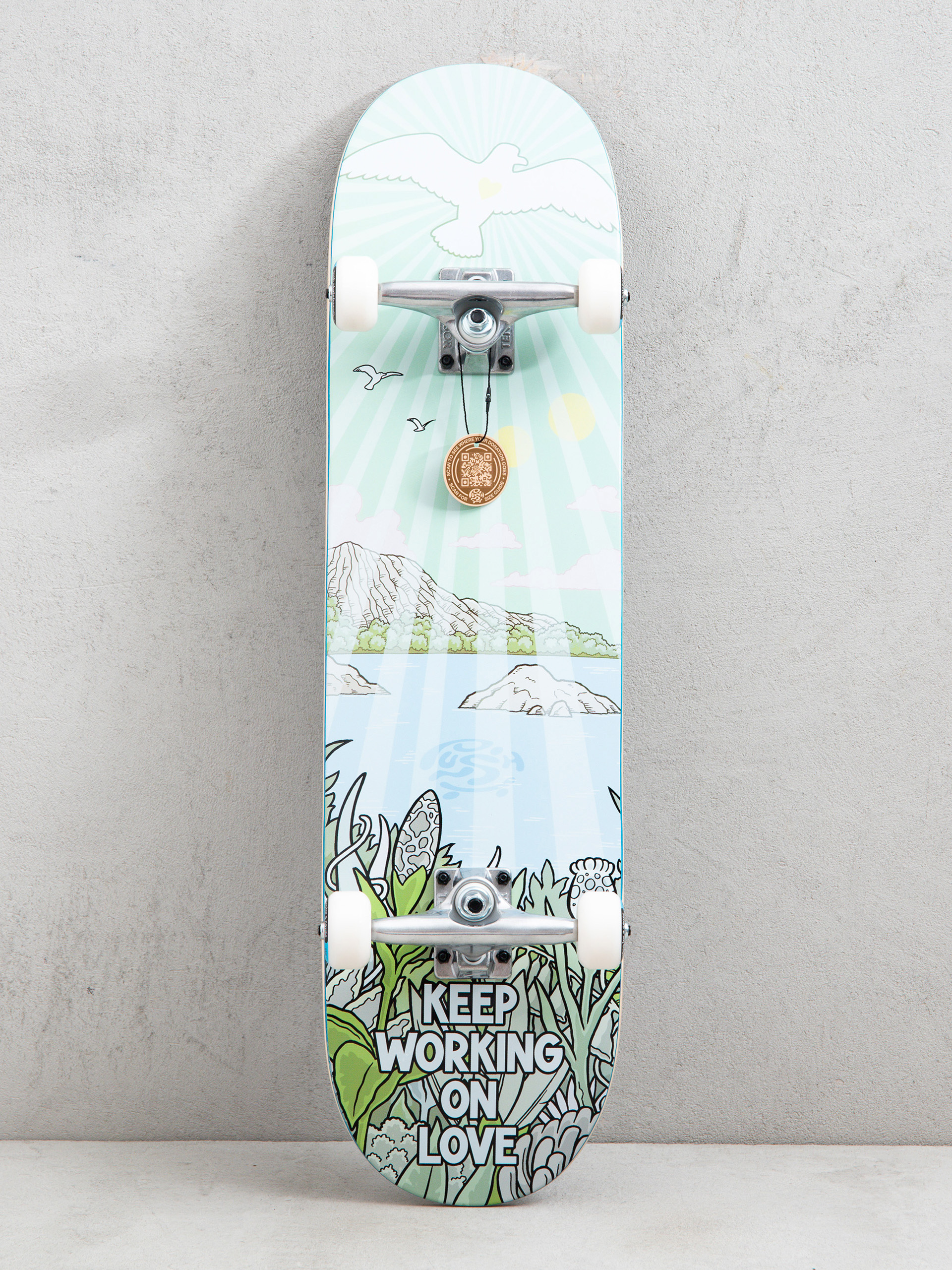 Skateboard Push Jon Horner Guest Artist