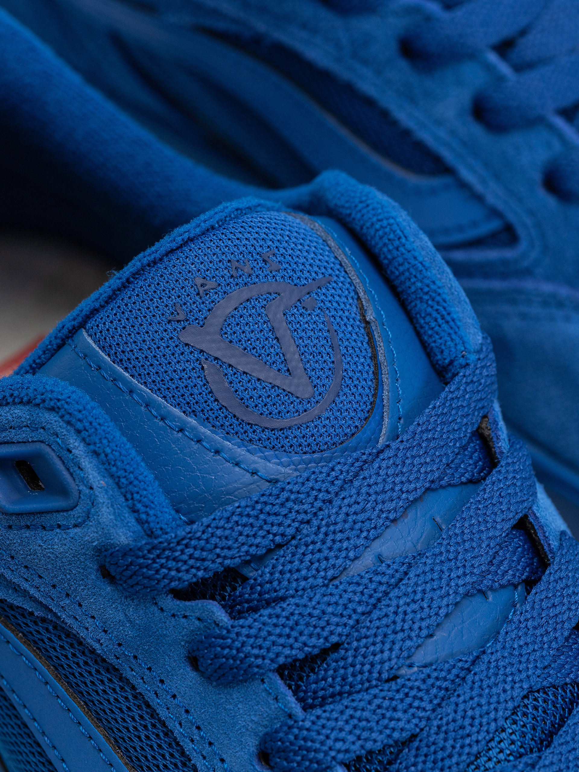 Pantofi Vans Skate Rowan Z3 (classic blue)