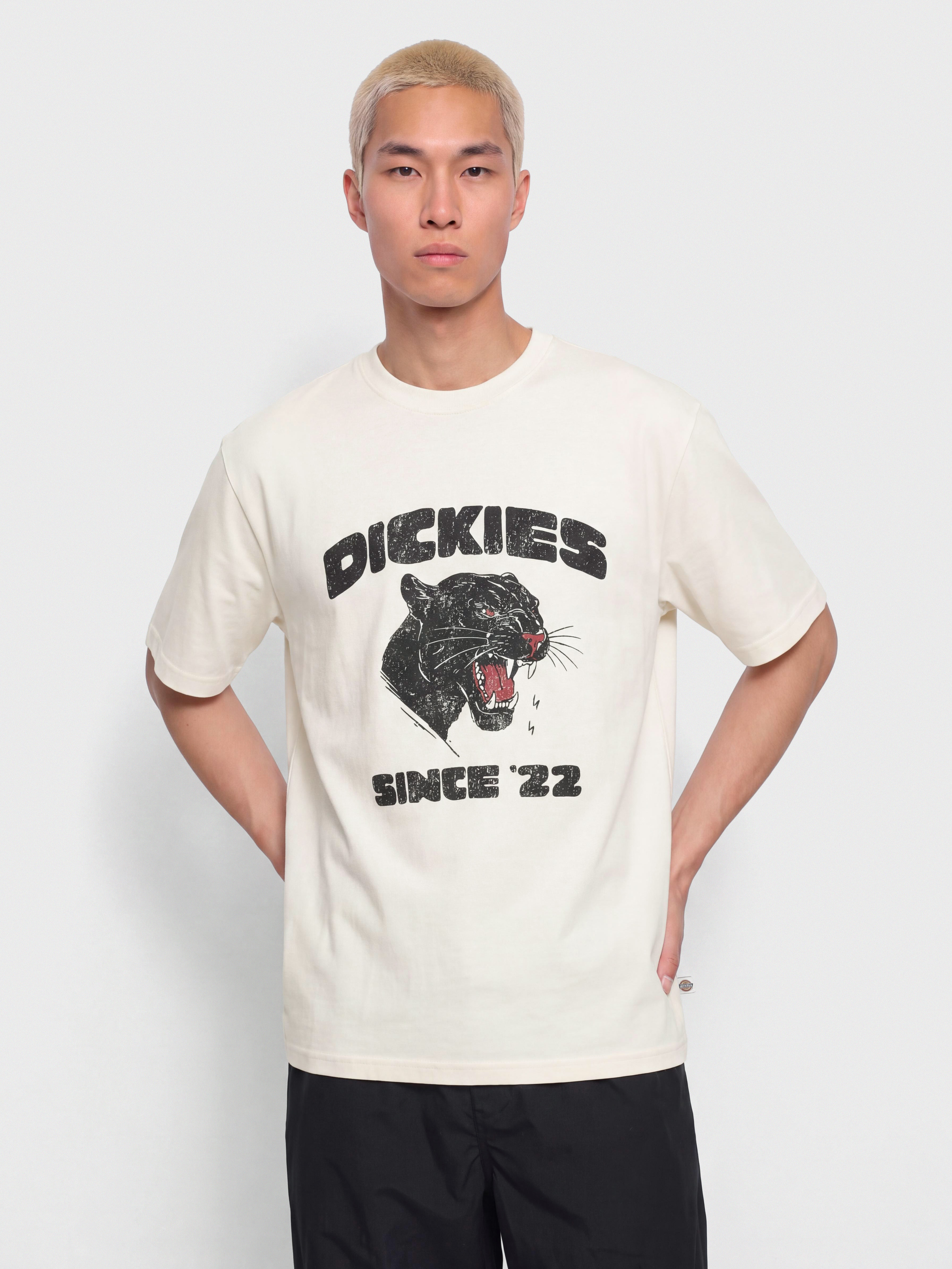 Tricou Dickies Mcdermitt (egret)