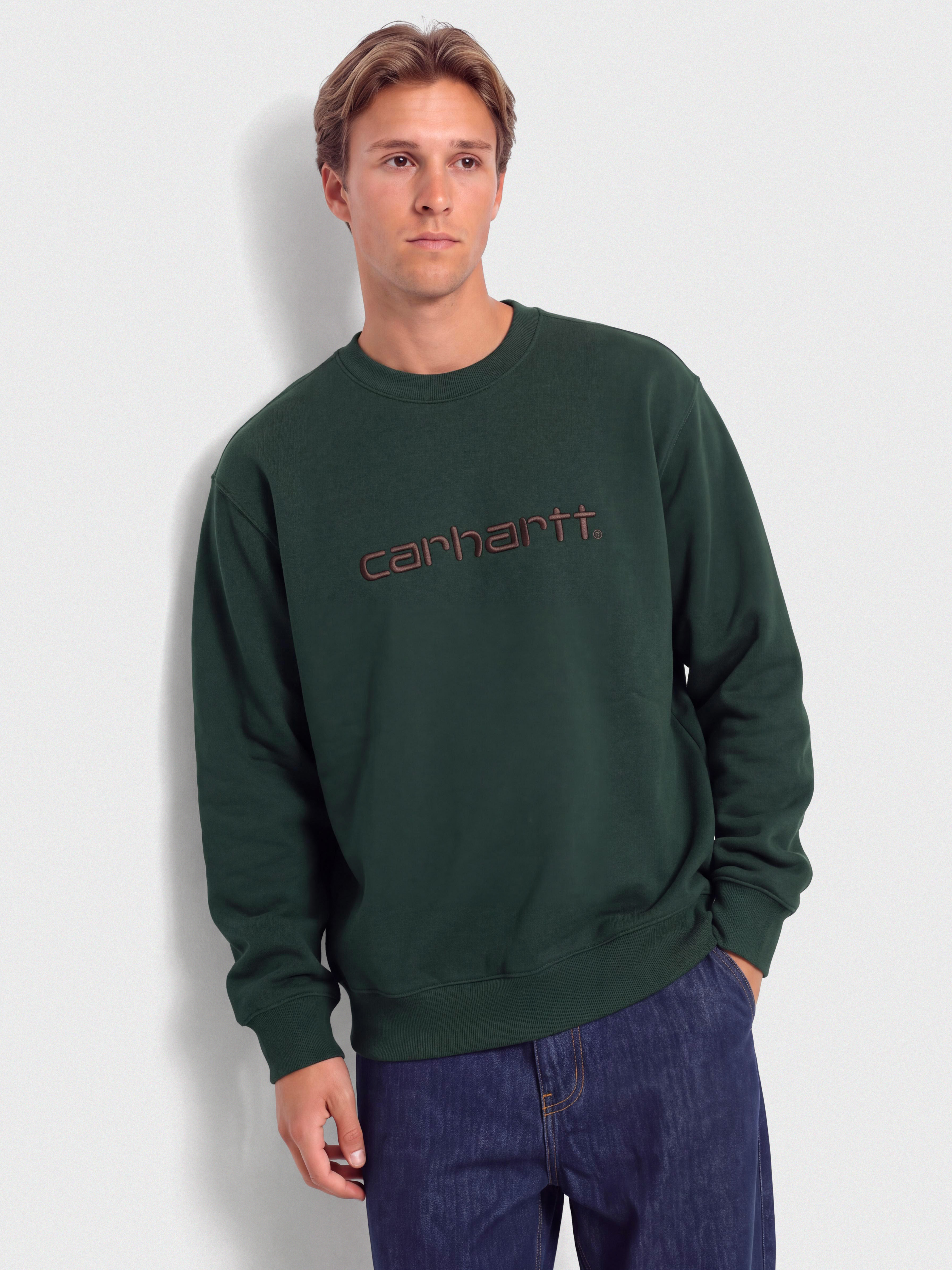 Hanorac Carhartt WIP Carhartt (dark scarab/palisander)