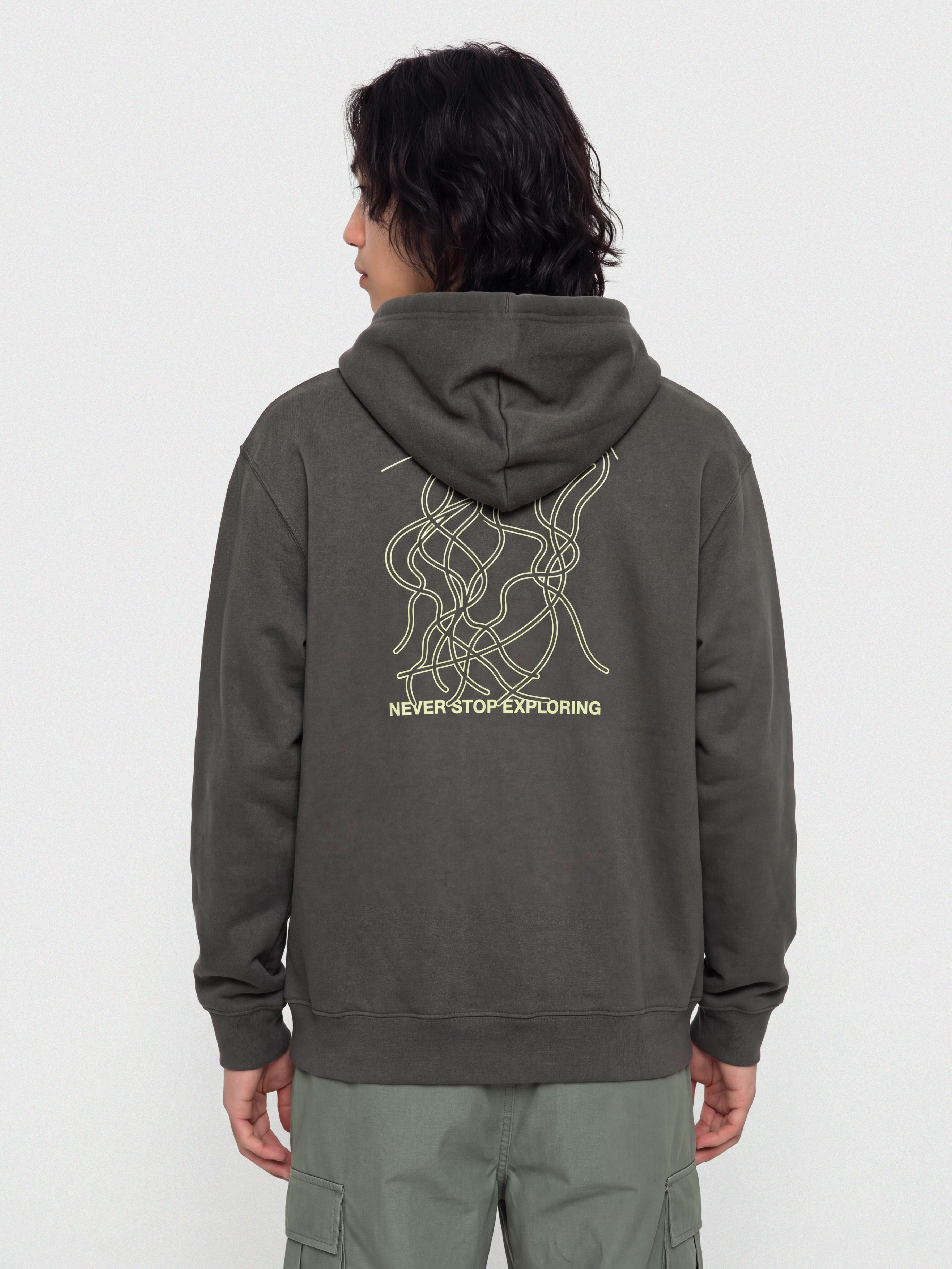 Hanorac cu glugă The North Face Nse Slopes Relaxed HD