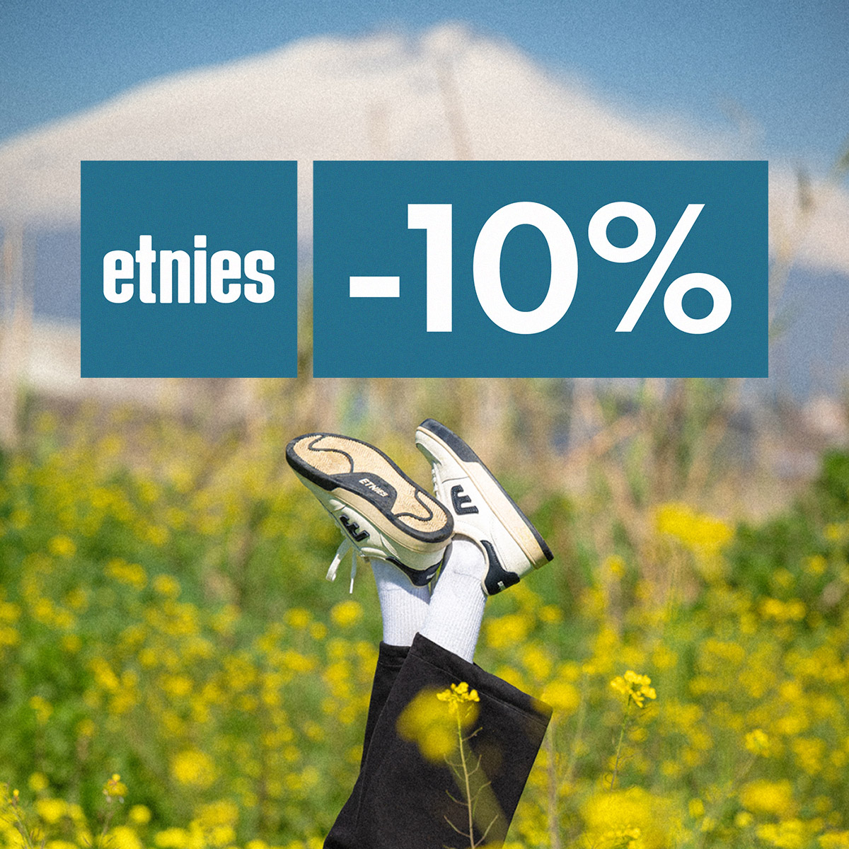 -10% la marca Etnies! Do duminică!